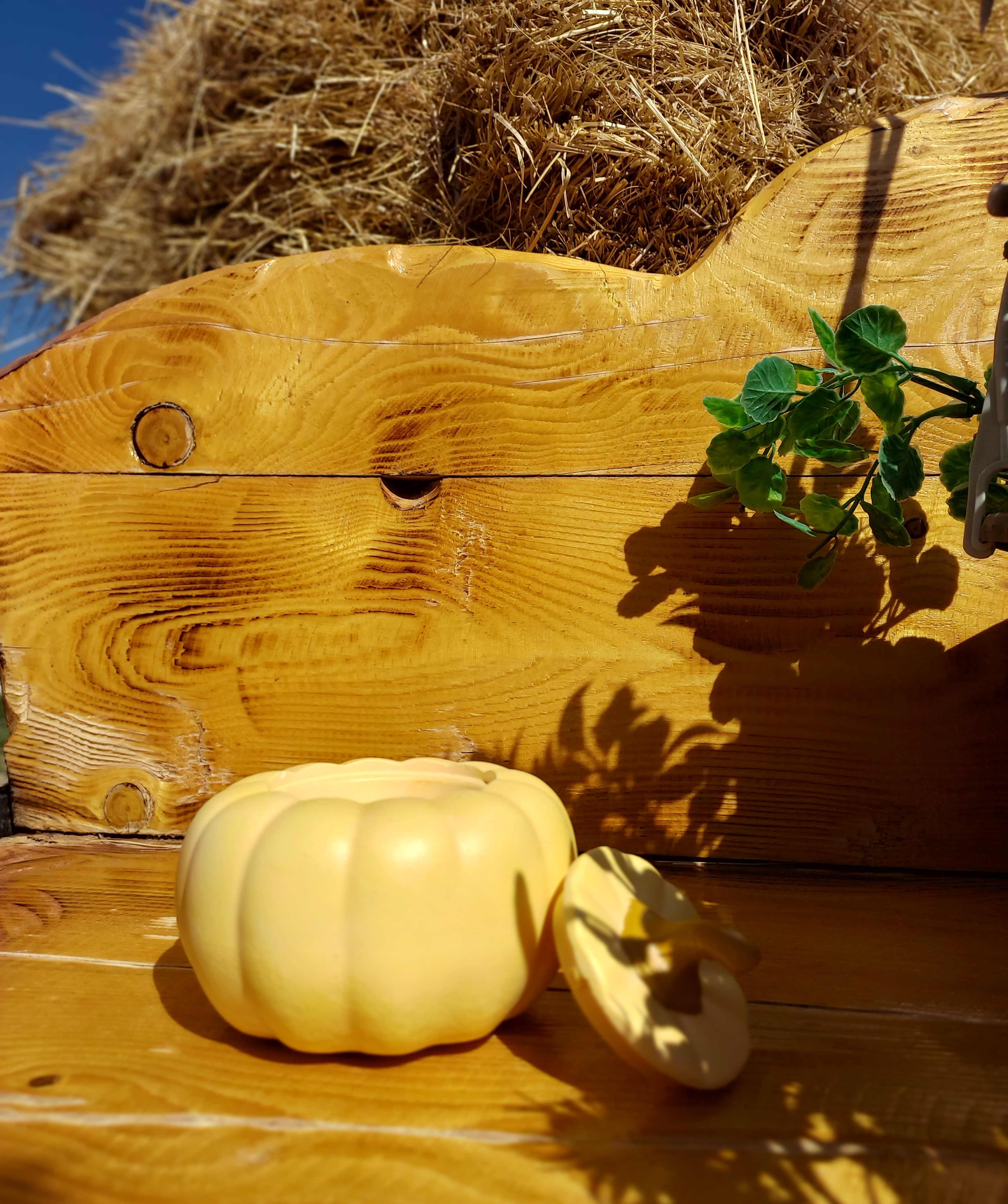 Свеча «Blue Moon» Тыква