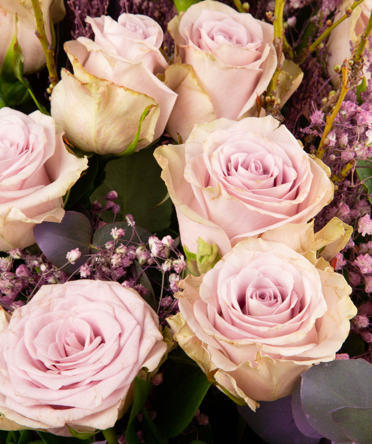 Ծաղկեփունջ «Վայթսբուրգ» վարդերով և չորածաղիկներով