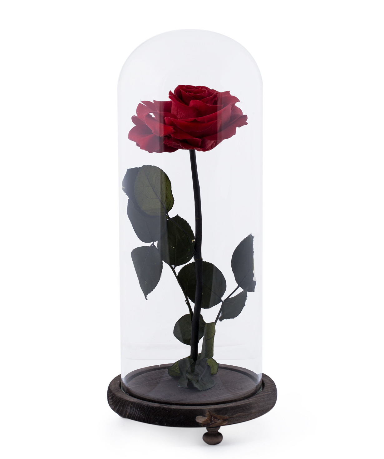 Роза `EM Flowers` вечная красная 33 см
