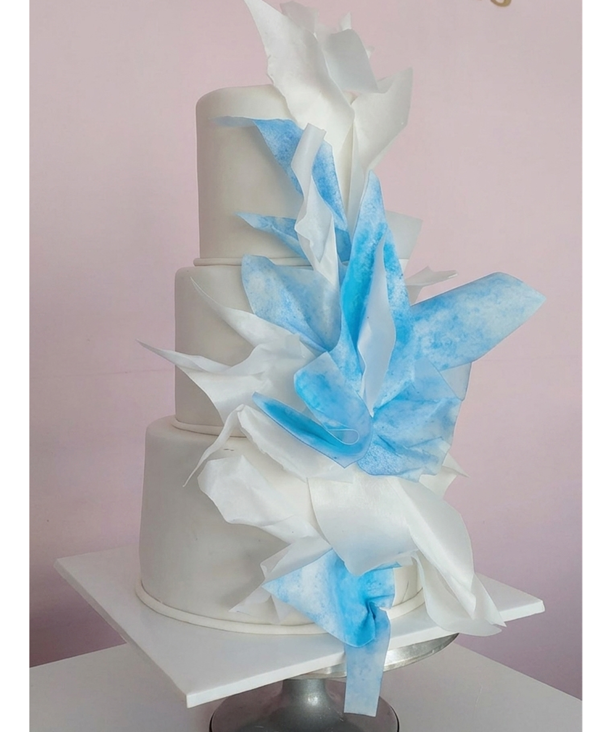 Cake «Viktoria Cakes» №44