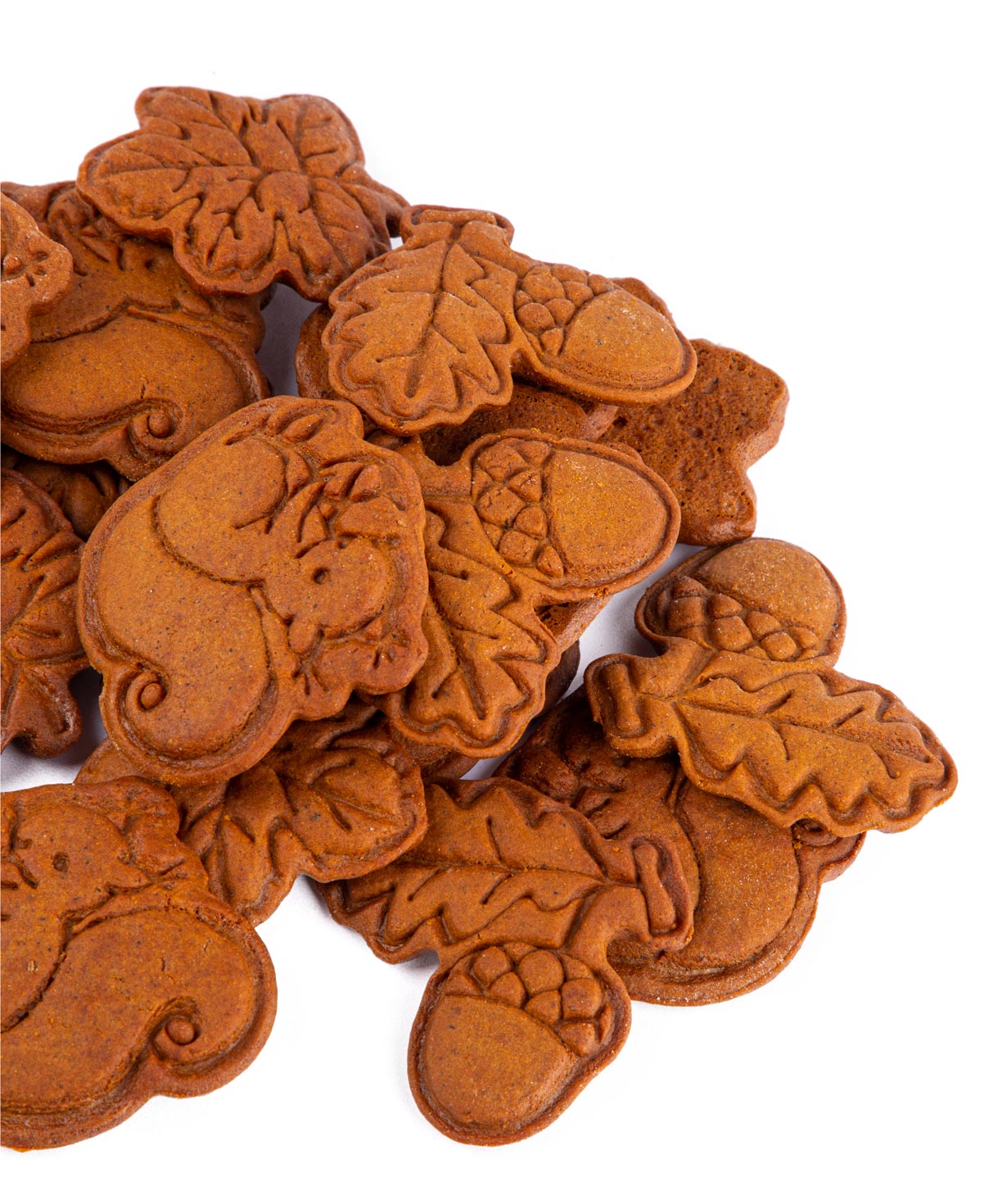Cookies ''Tartist'' Autumn