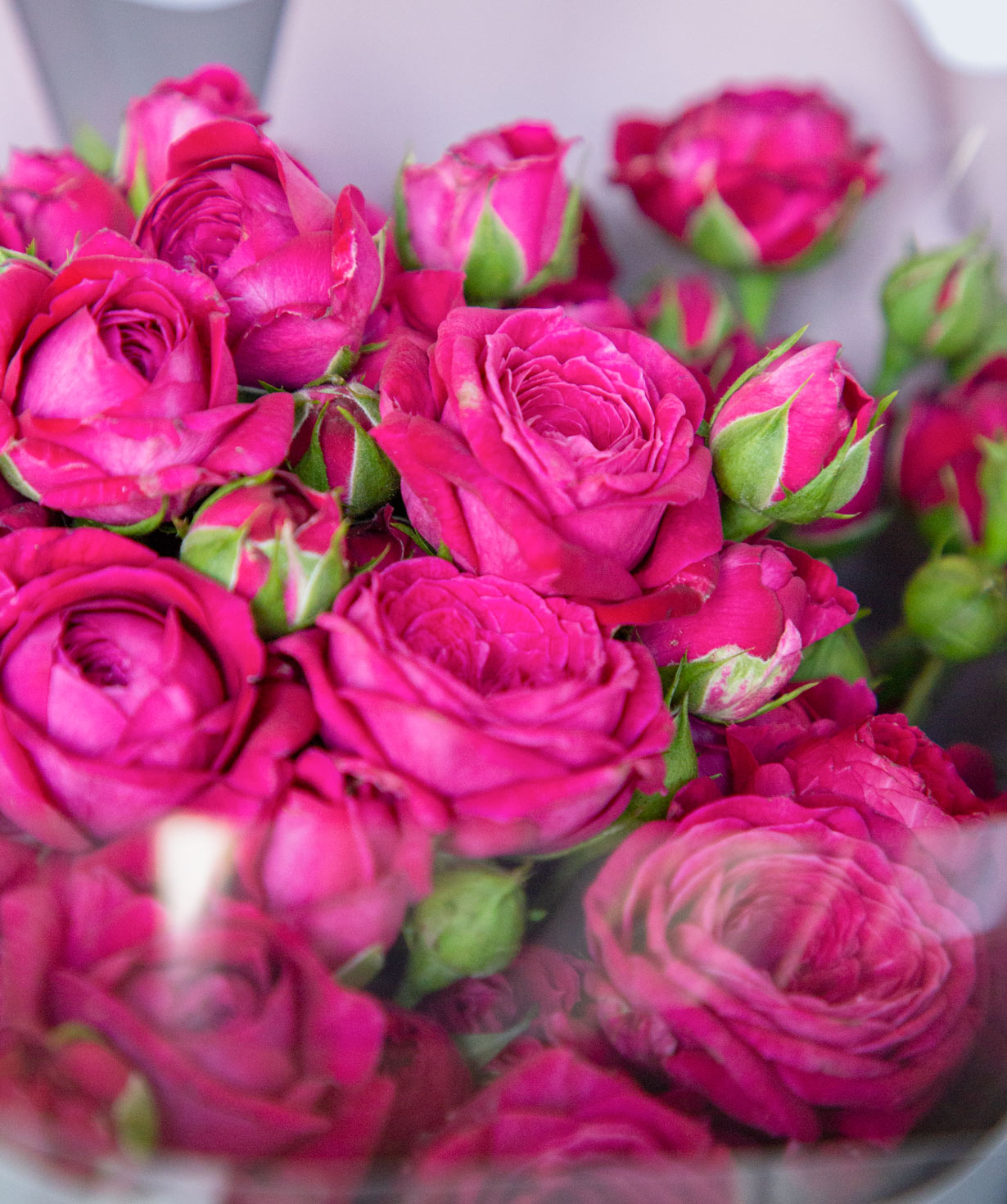 Букет `Hebe` с кустом пионовидных роз