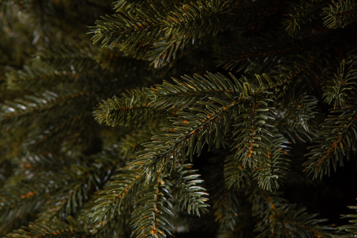 Christmas tree CANADIAN SPRUCE PE Exclusive, 180 cm , Ø 120cm CLX-SWKAN-PE-180