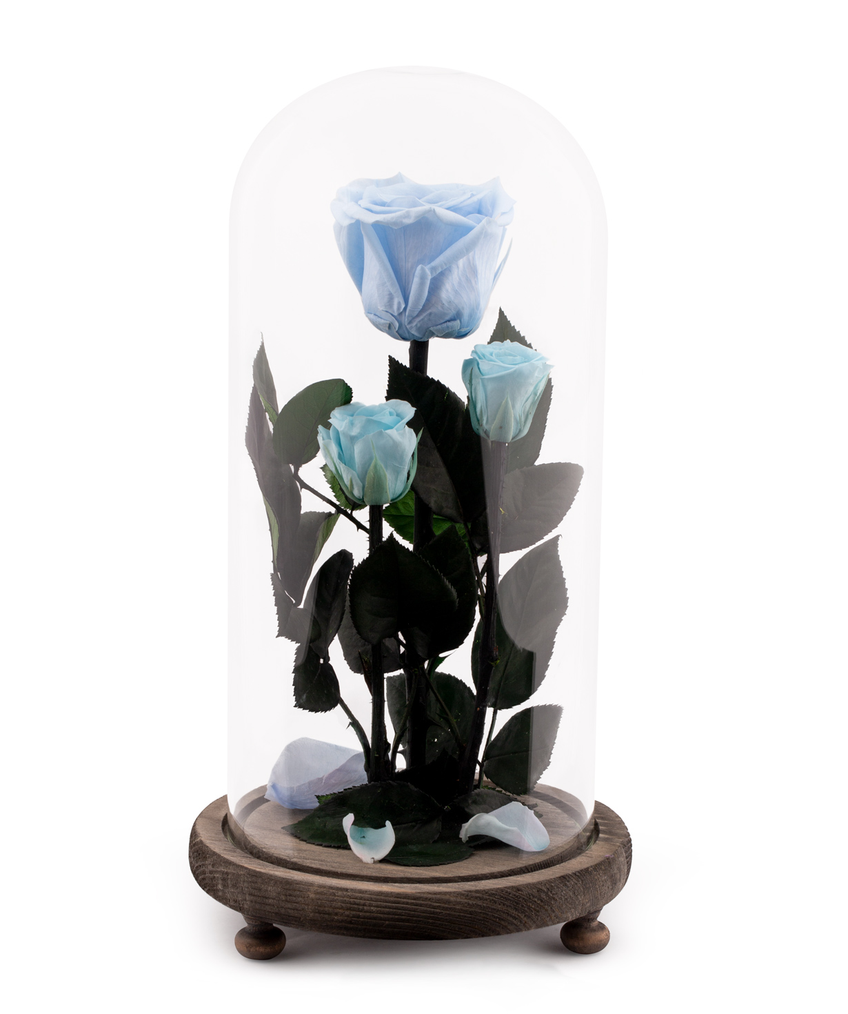 Розы `EM Flowers` вечная голубая 21 см в колбе