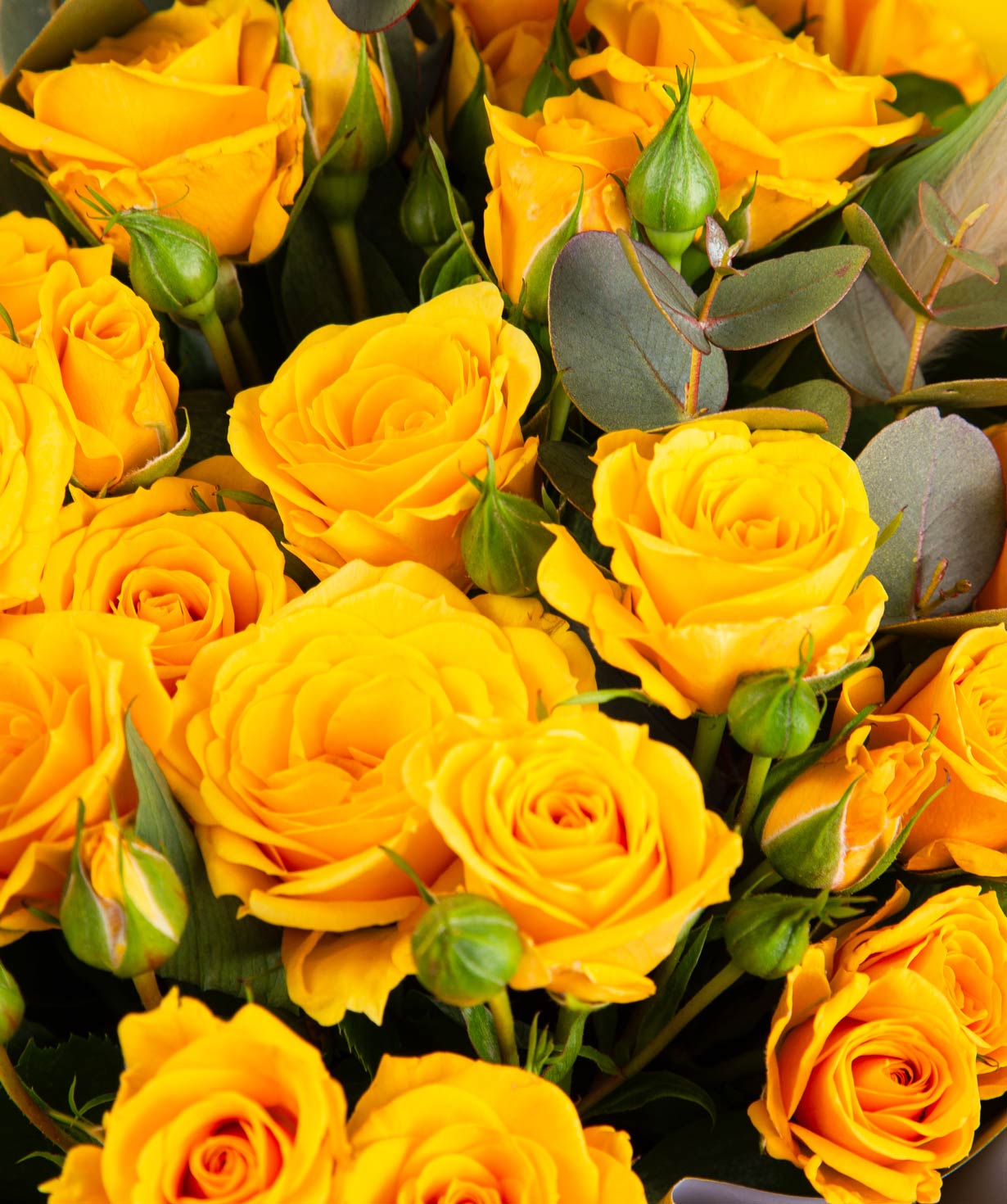 Ծաղկեփունջ «Սուդա» փնջային վարդերով