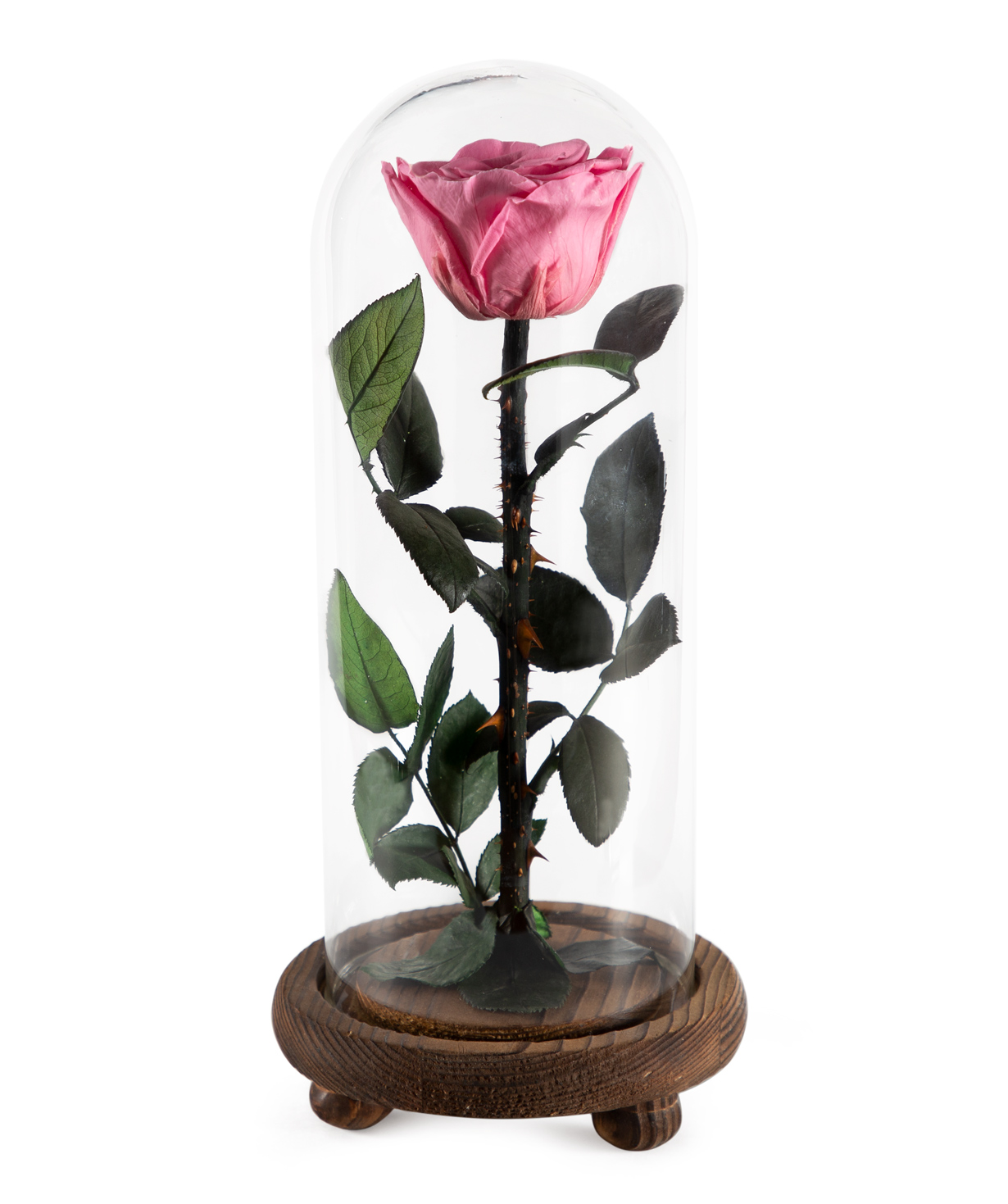 Вечная роза розовая 26см
