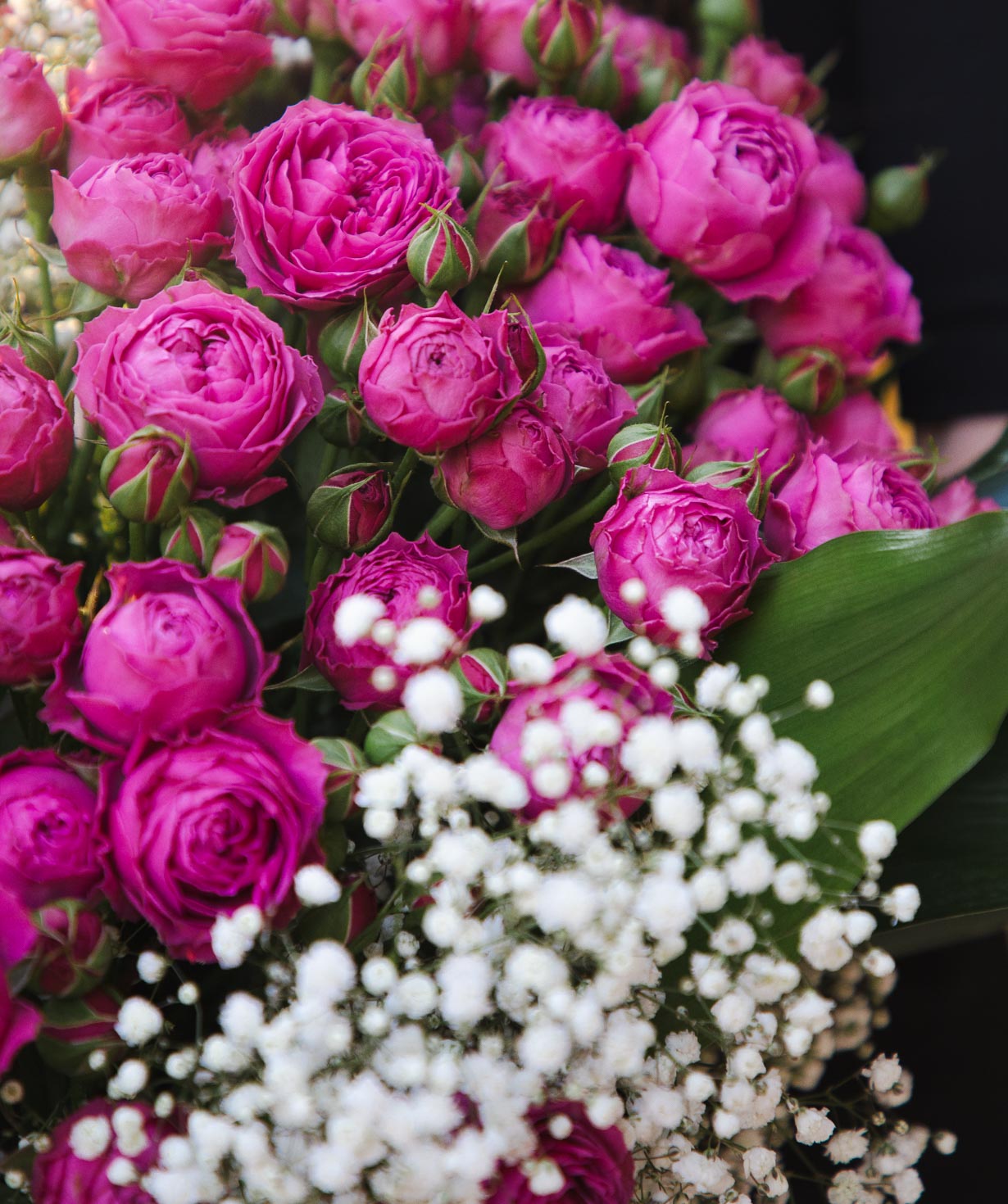 Ծաղկեփունջ «Ջերբա» փնջային վարդերով և գիպսաֆիլաներով