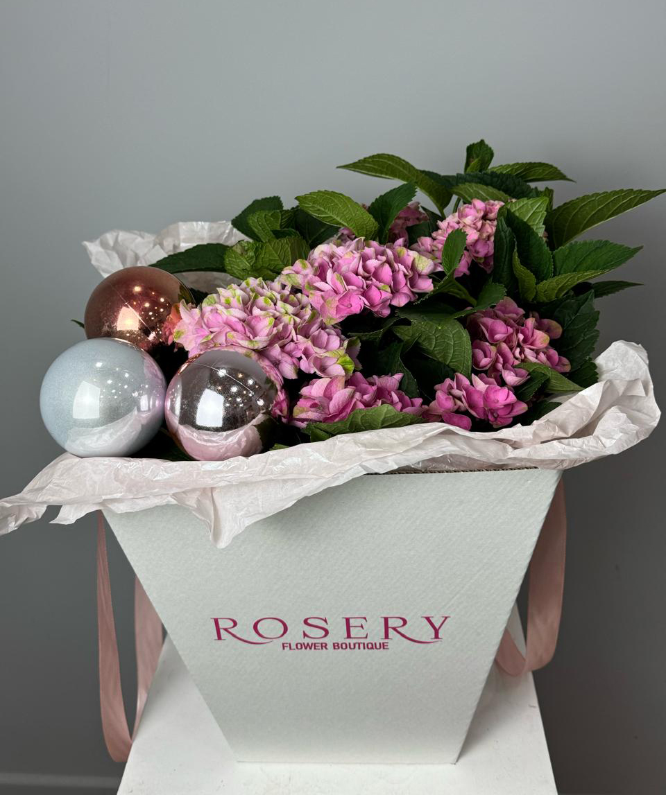 Composition «Andelle» with hydrangeas and Christmas decorations