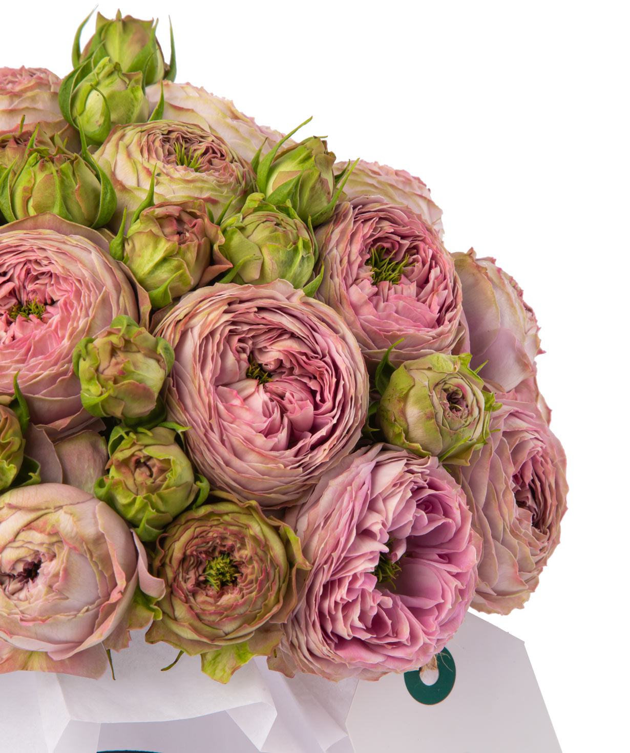 Composition `Cora` with peony roses