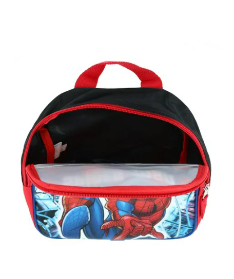 USA. backpack №088 Spider Msn