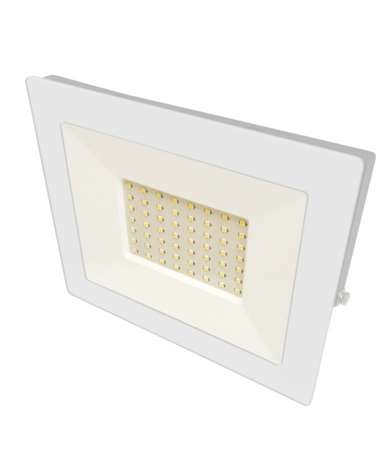 Լուսարձակ սպիտակ 30Վտ, 230Վ, 6500Կ, Ultraflesh LFL-3001 C01