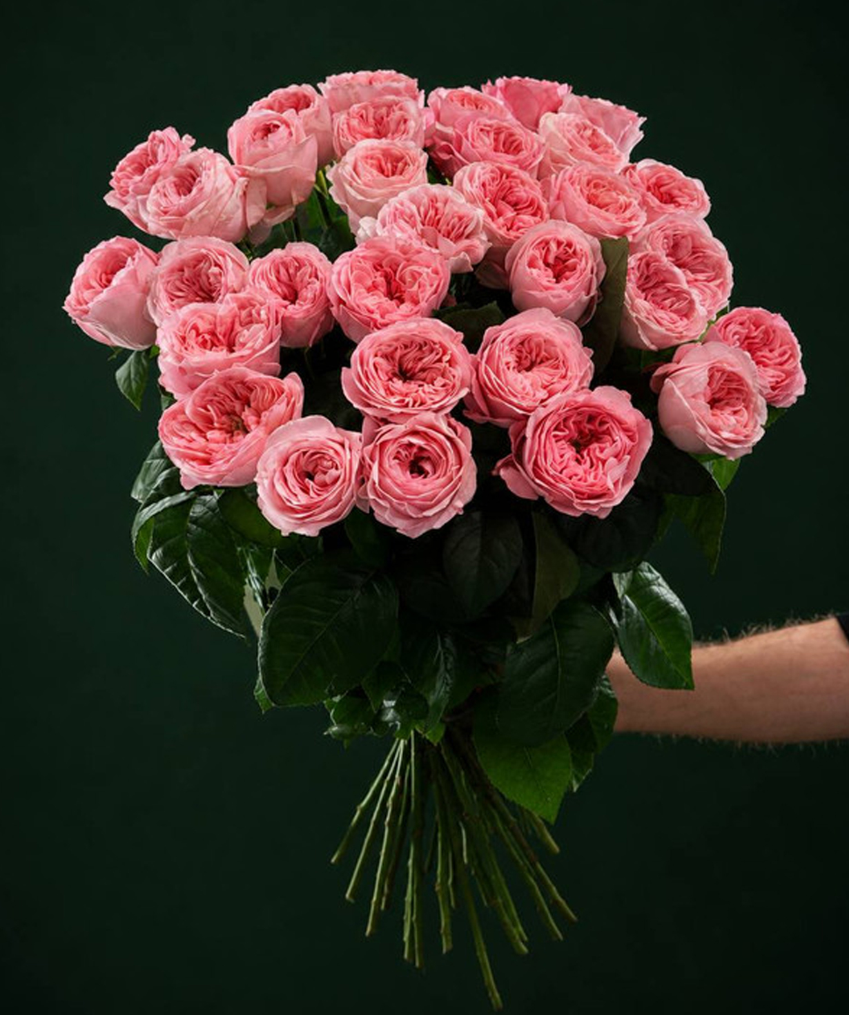 Վարդ «Harmony Flowers» վարդագույն, 70-90 սմ, 1 հատ