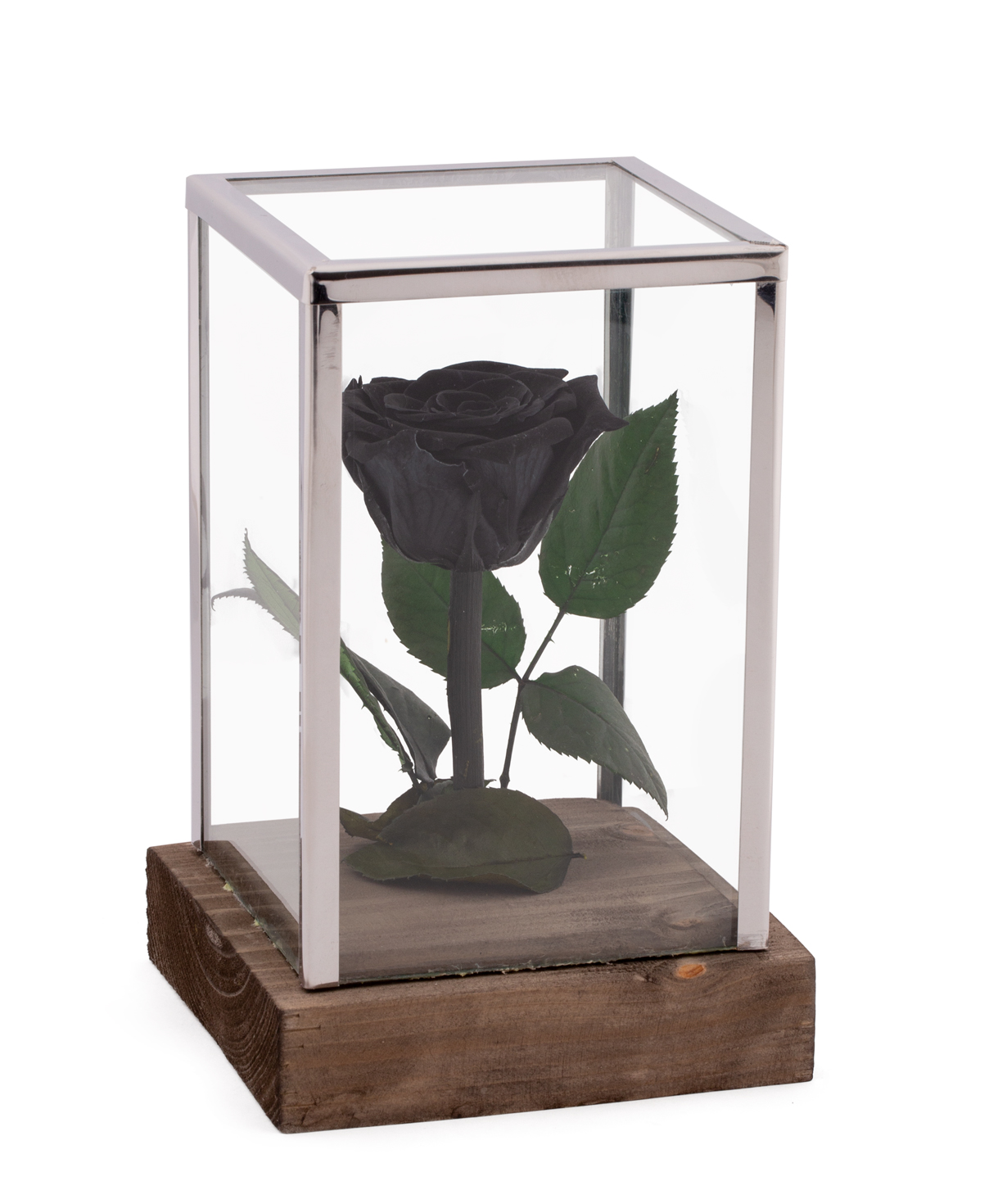 Роза `EM Flowers` вечная черная 18 см в колбе