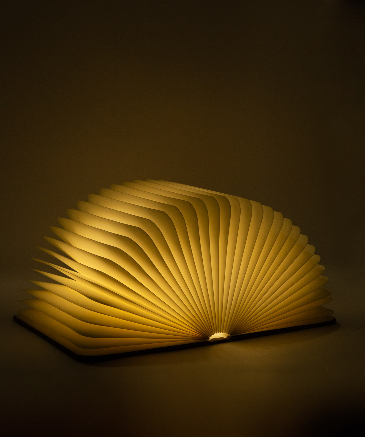 Lamp `Creative Gifts` book, wooden
