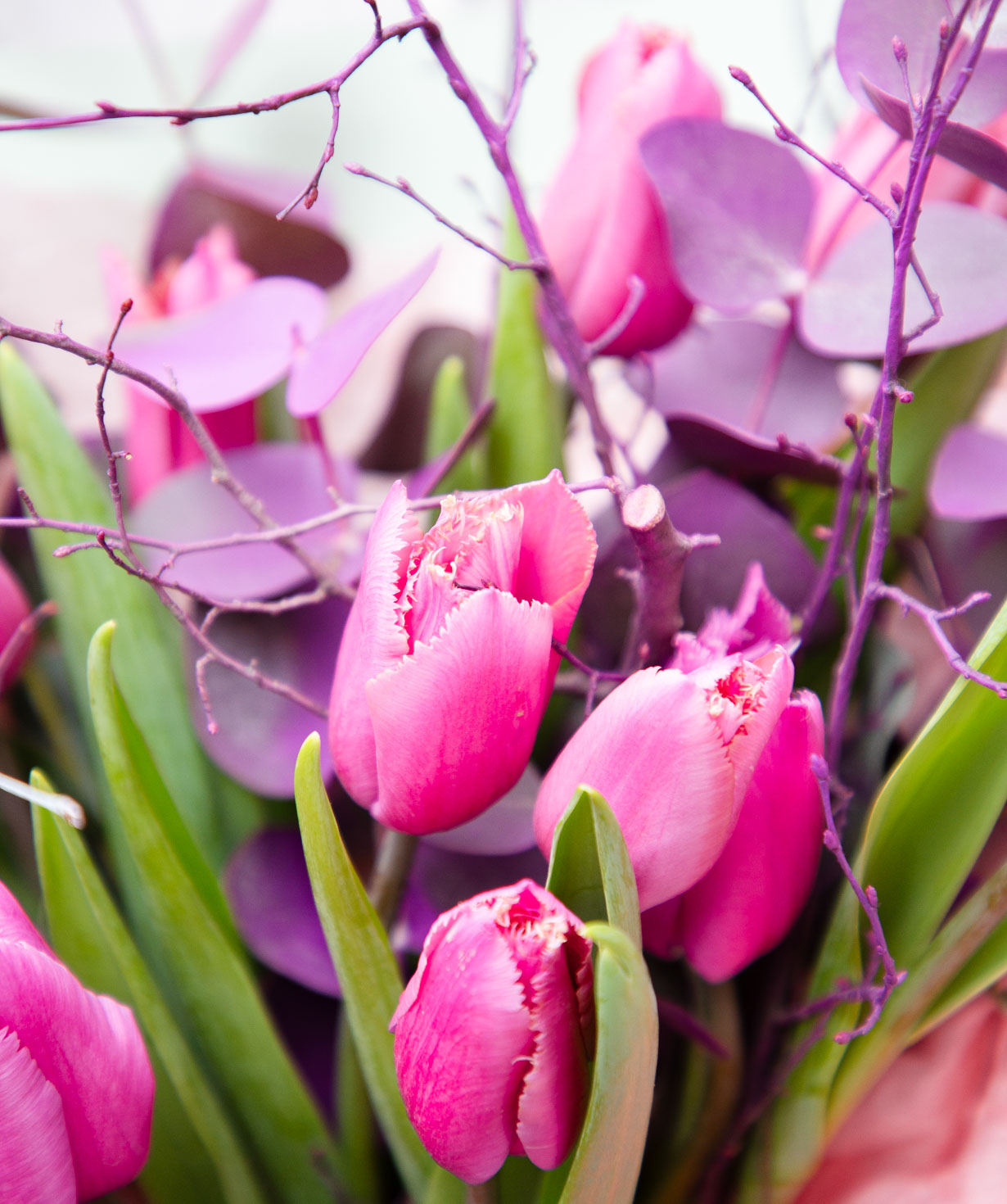 Bouquet «Agrinion» with tulips