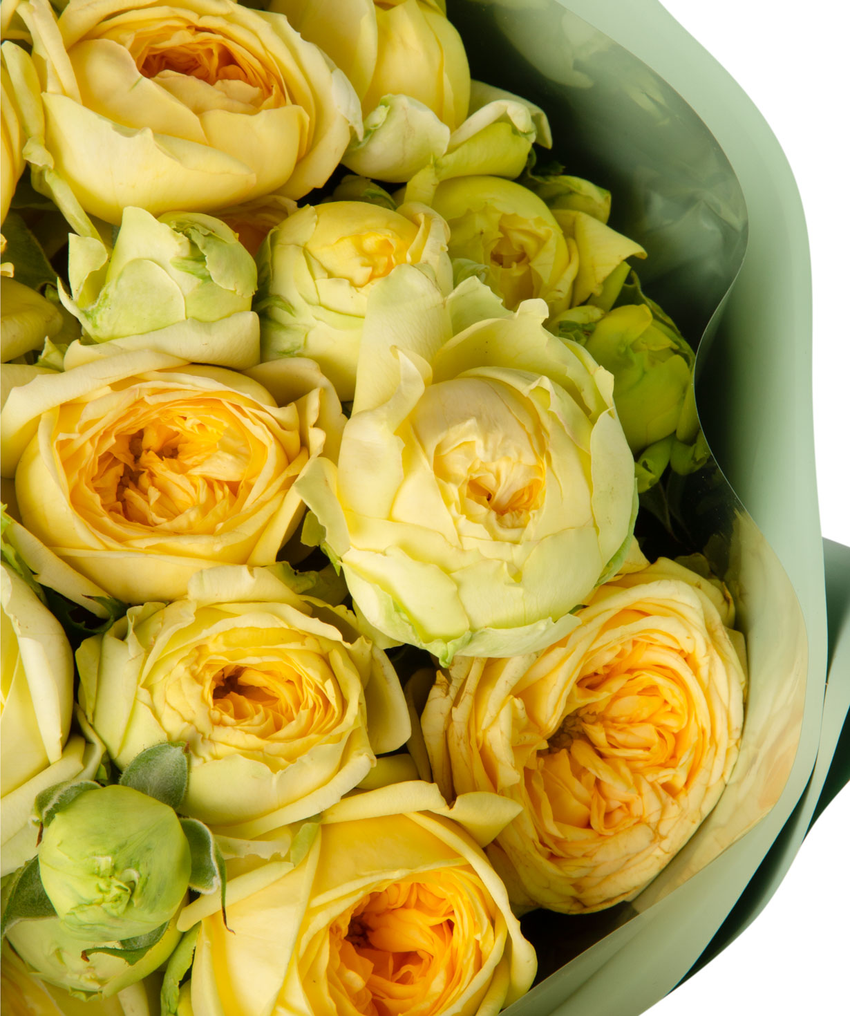 Букет `Гемера` с пионовидными розами