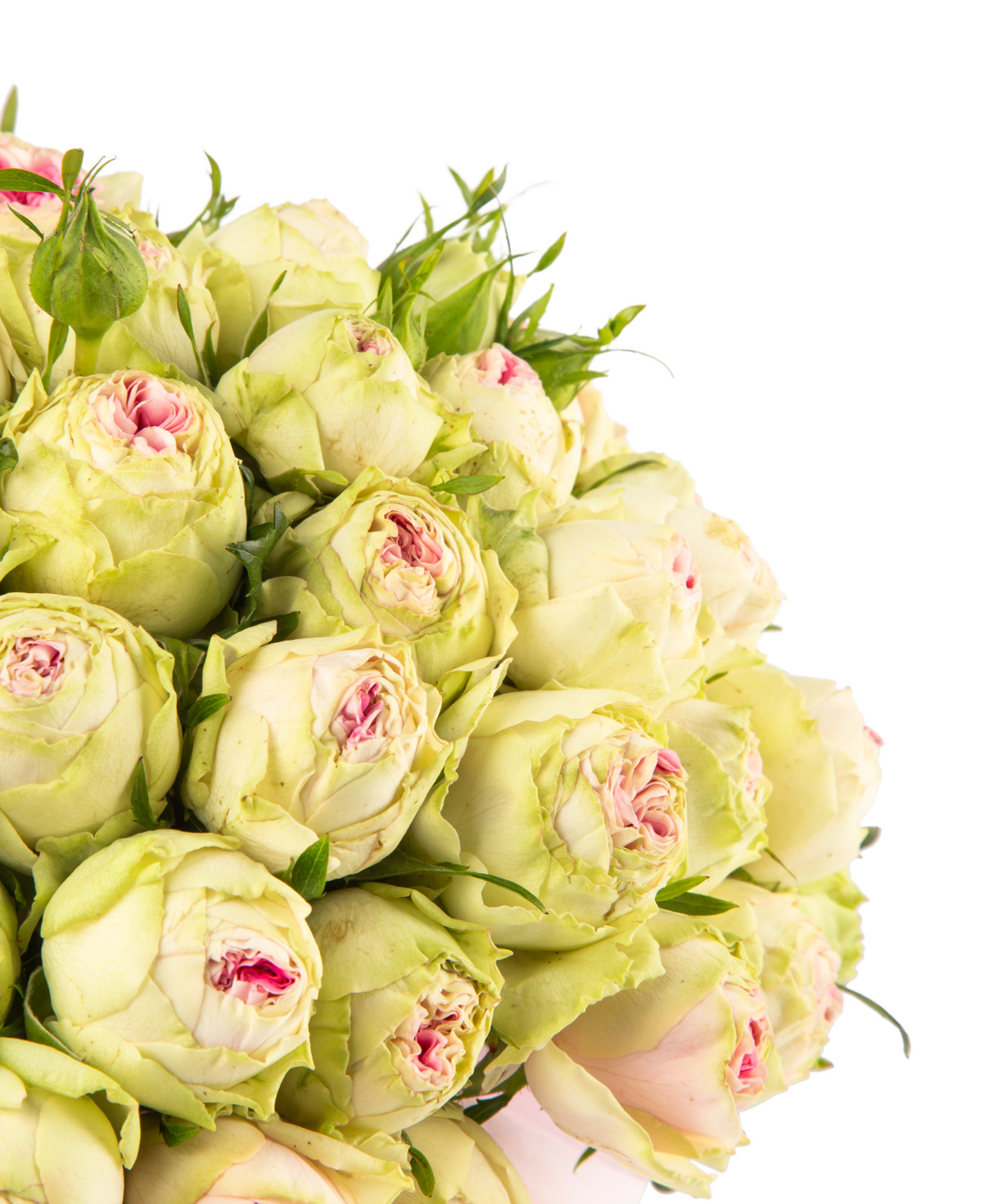 Composition `Selen` with bush peony roses