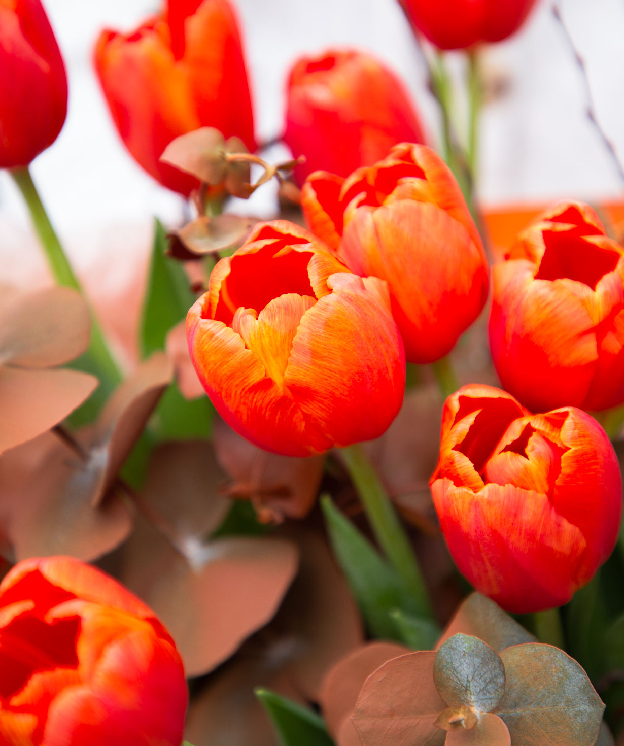 Bouquet «Aliartos» with tulips