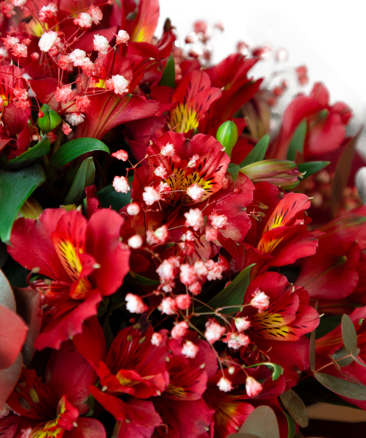 Bouquet ''Roma'' with gypsophilas