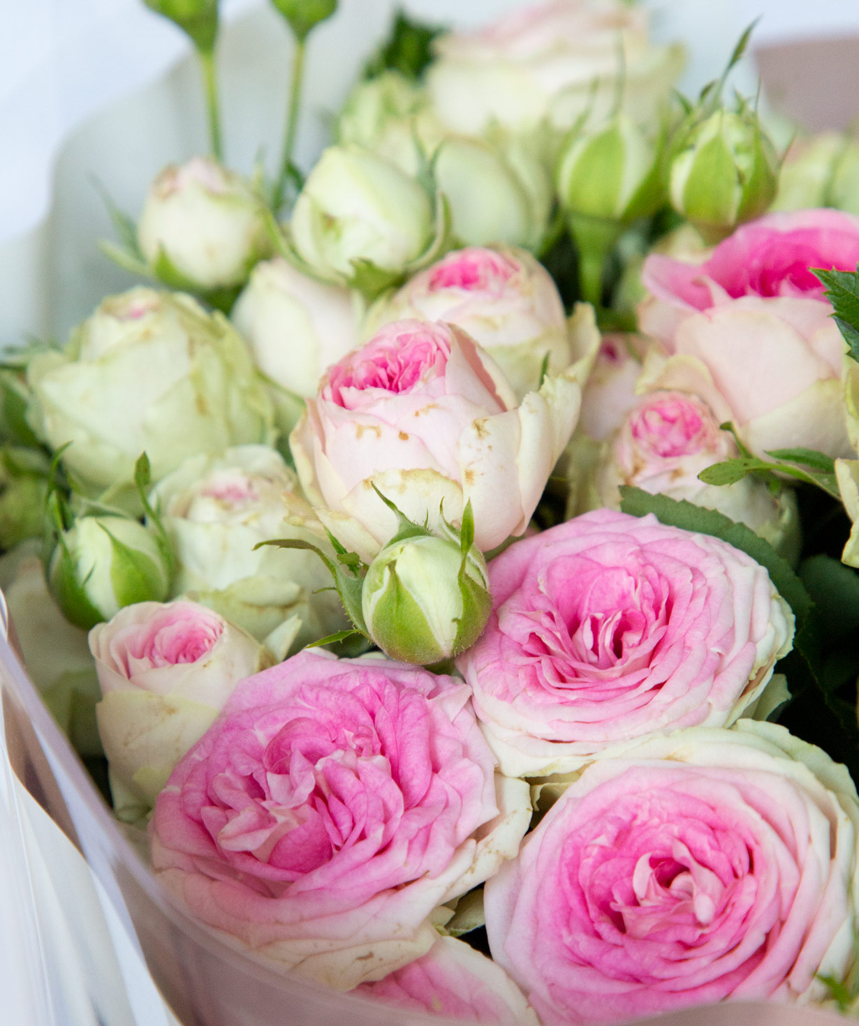 Bouquet `Easter`  bush peony rose