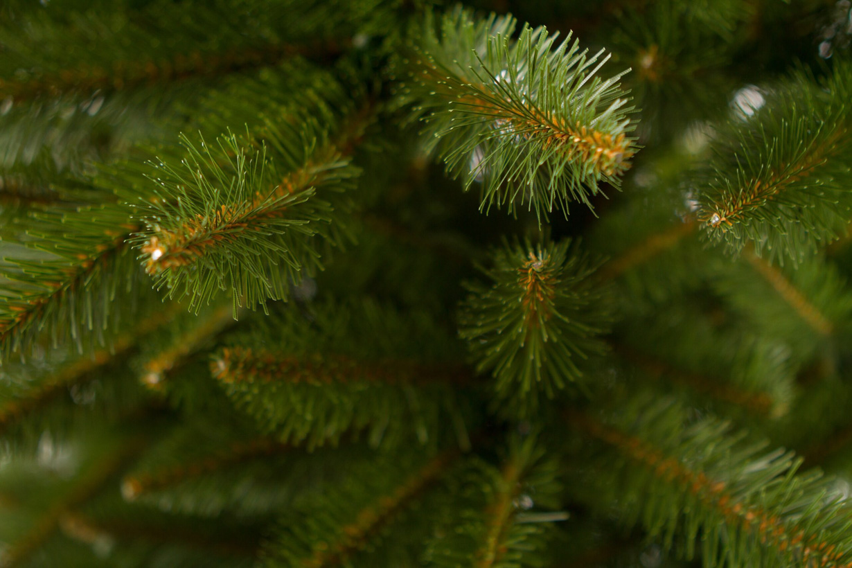 Christmas tree SYBERIAN SPRUCE PE Classic, 250 cm , Ø 155cm CLX-SWSYB--PE-250