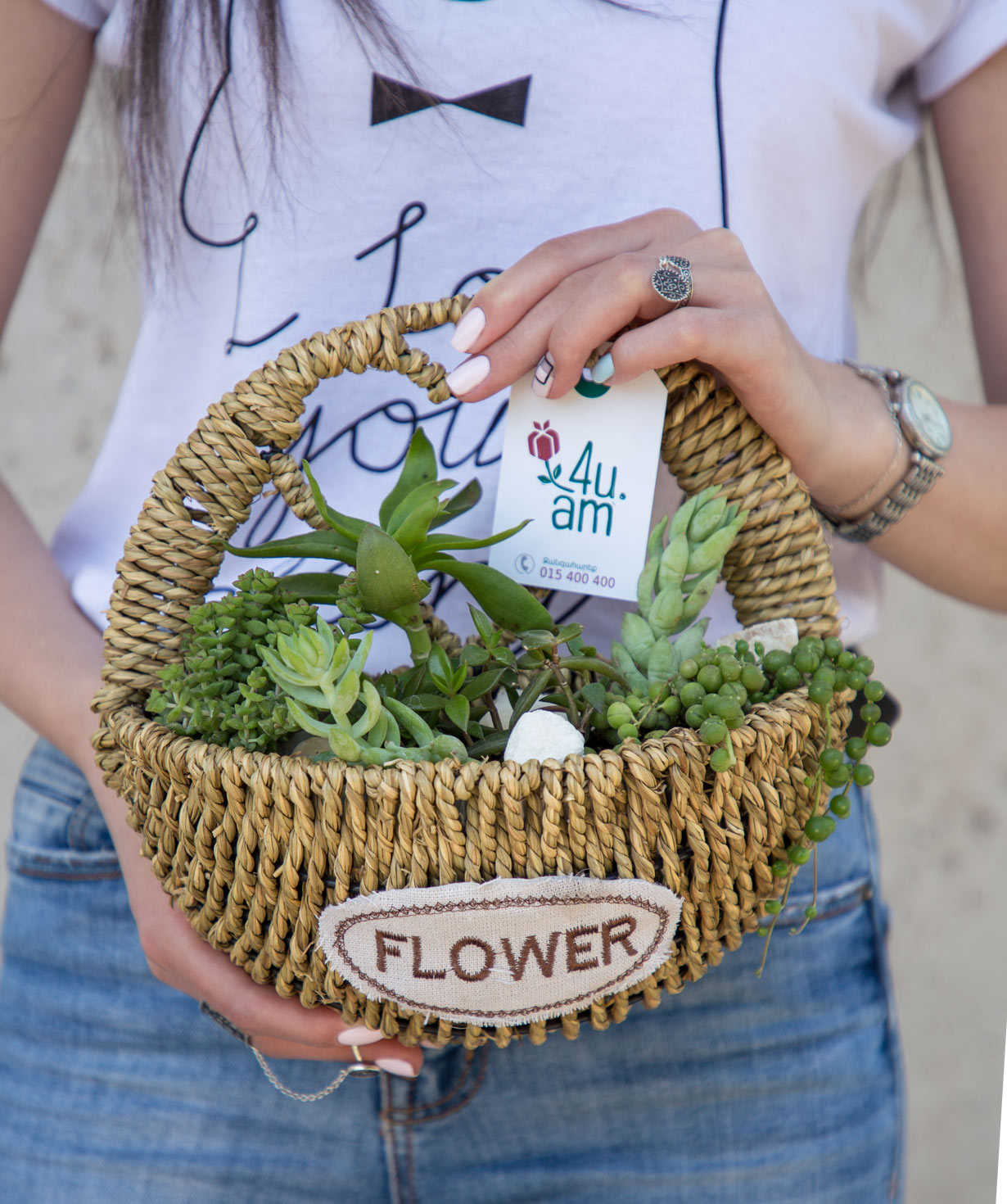Plant `Eco Garden` Succulent in the basket