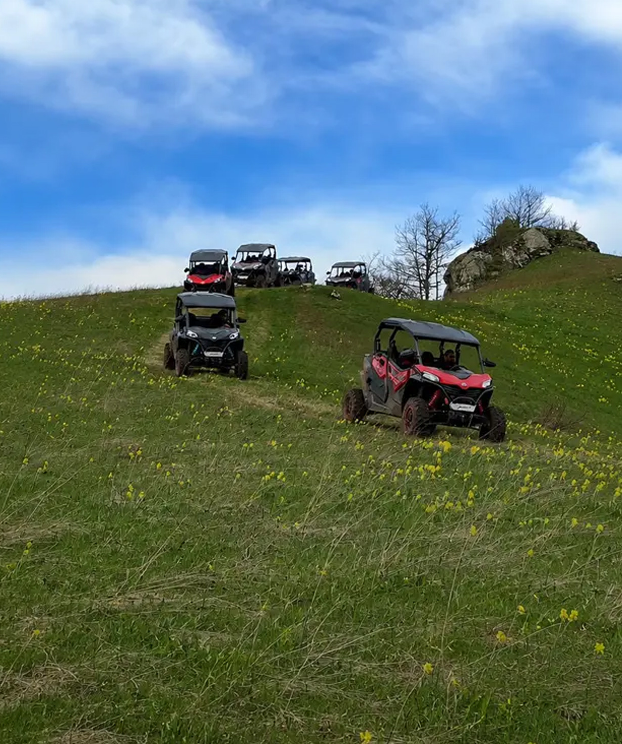 Բագգի տուր «Dilijan Adventures» Դիմաց լեռ և շրջակա սարեր, 3 անձ