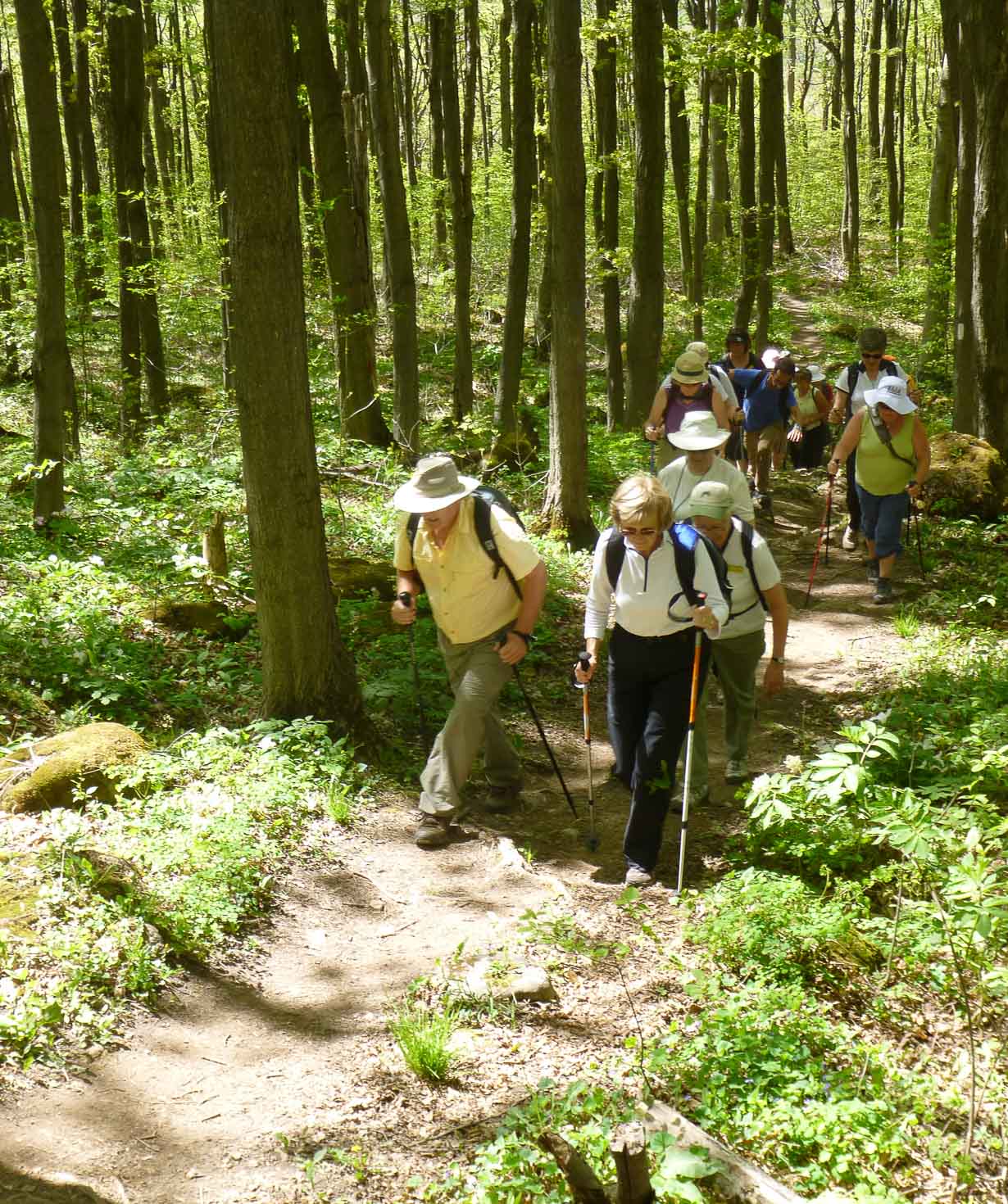 Նվեր-քարտ «110 Places Hiking Club» 10,000
