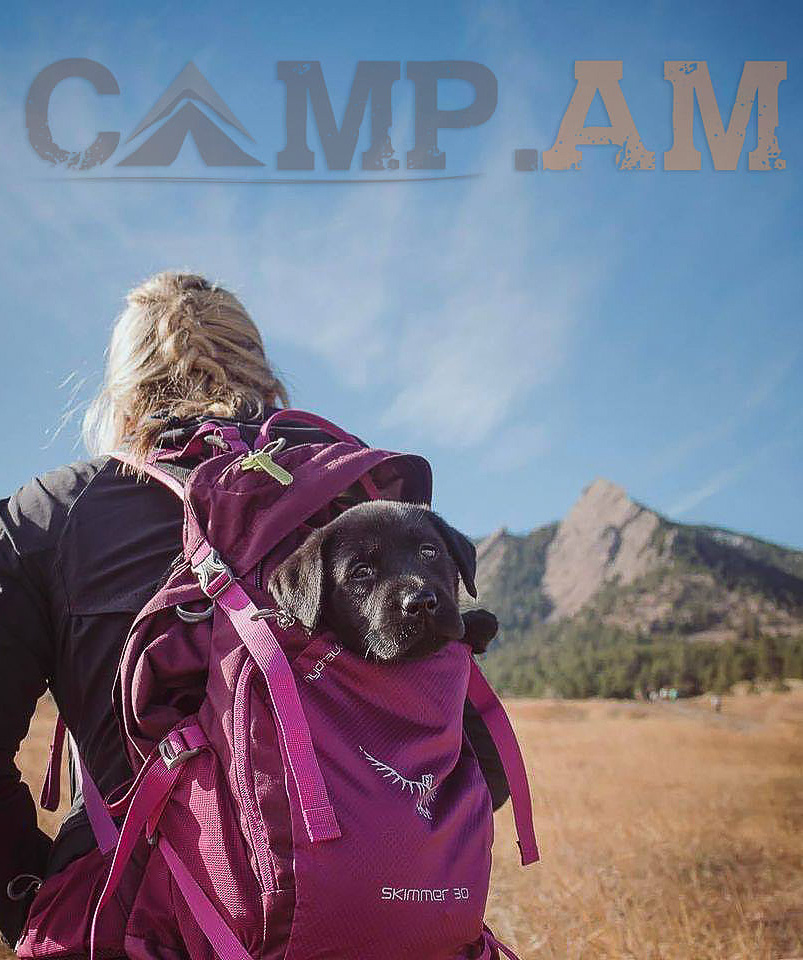 Նվեր-քարտ «Camp.am» 30,000