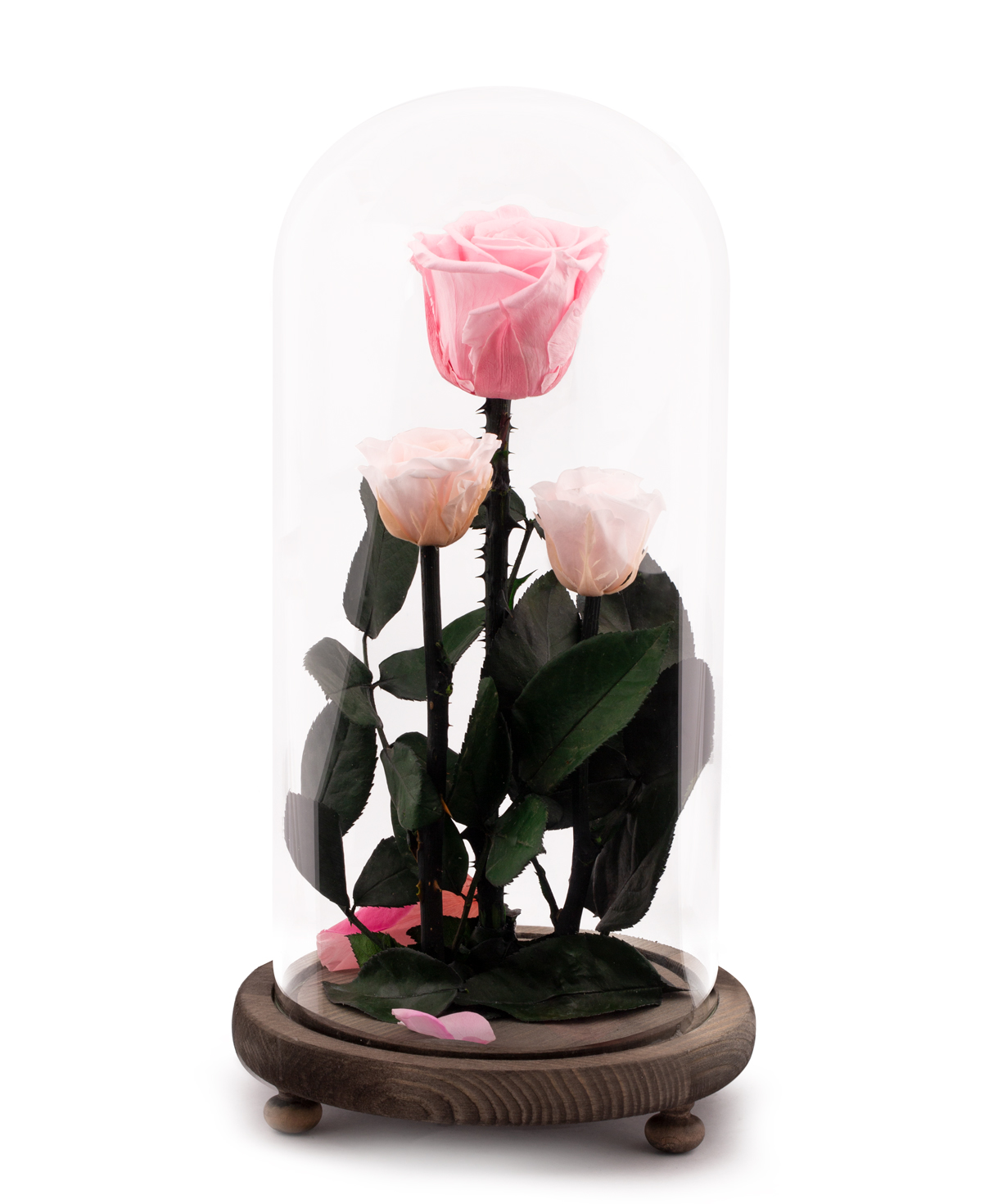 Розы `EM Flowers` вечные розовые 28 см в колбе