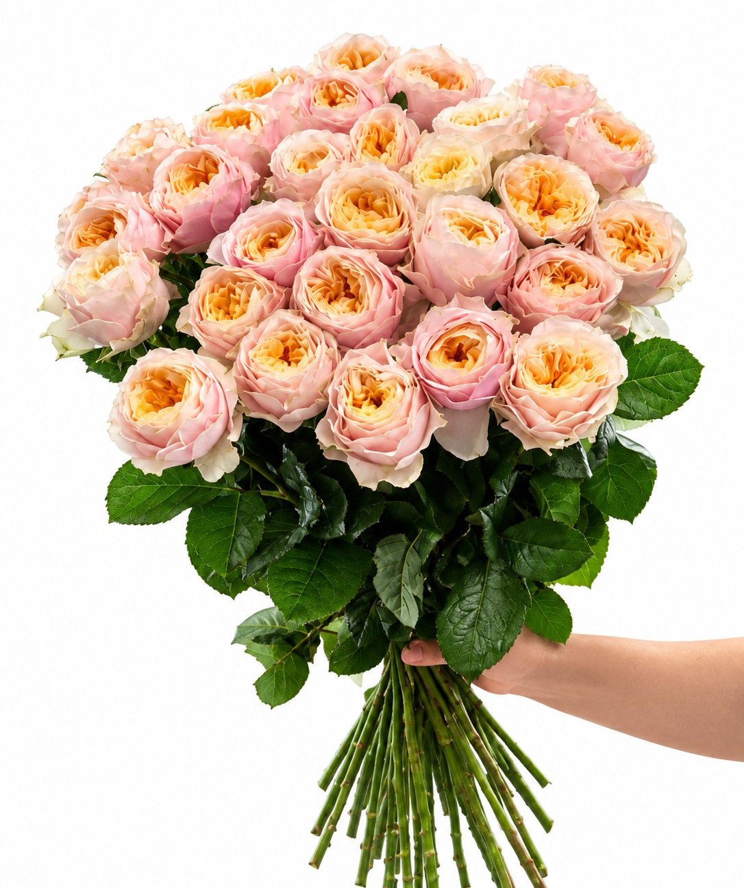 Peony rose «Harmony Flowers» peach-pink, 70 cm, 29 pcs