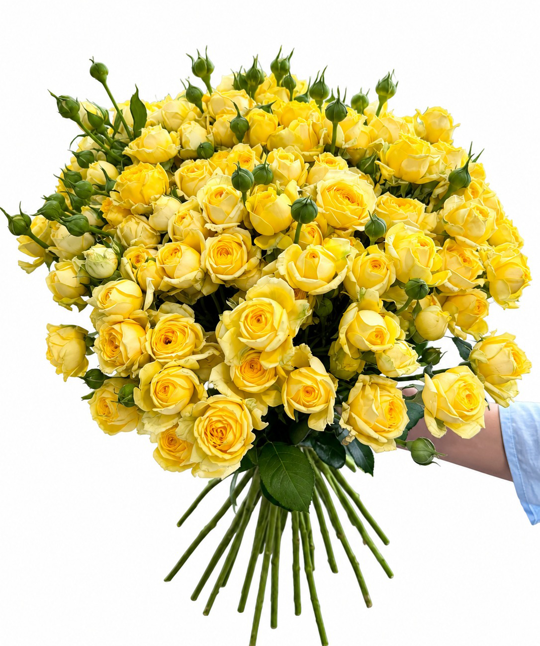 Spray rose «Harmony Flowers» yellow, 70 cm, 20 branchеs