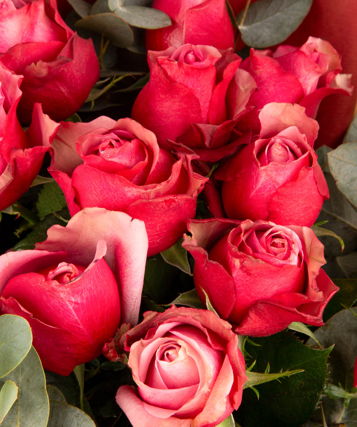 Букет `Сиена` с розами