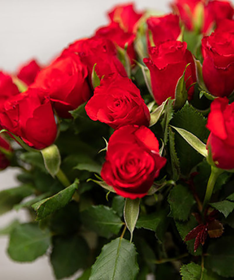 Belgium bouquet 010