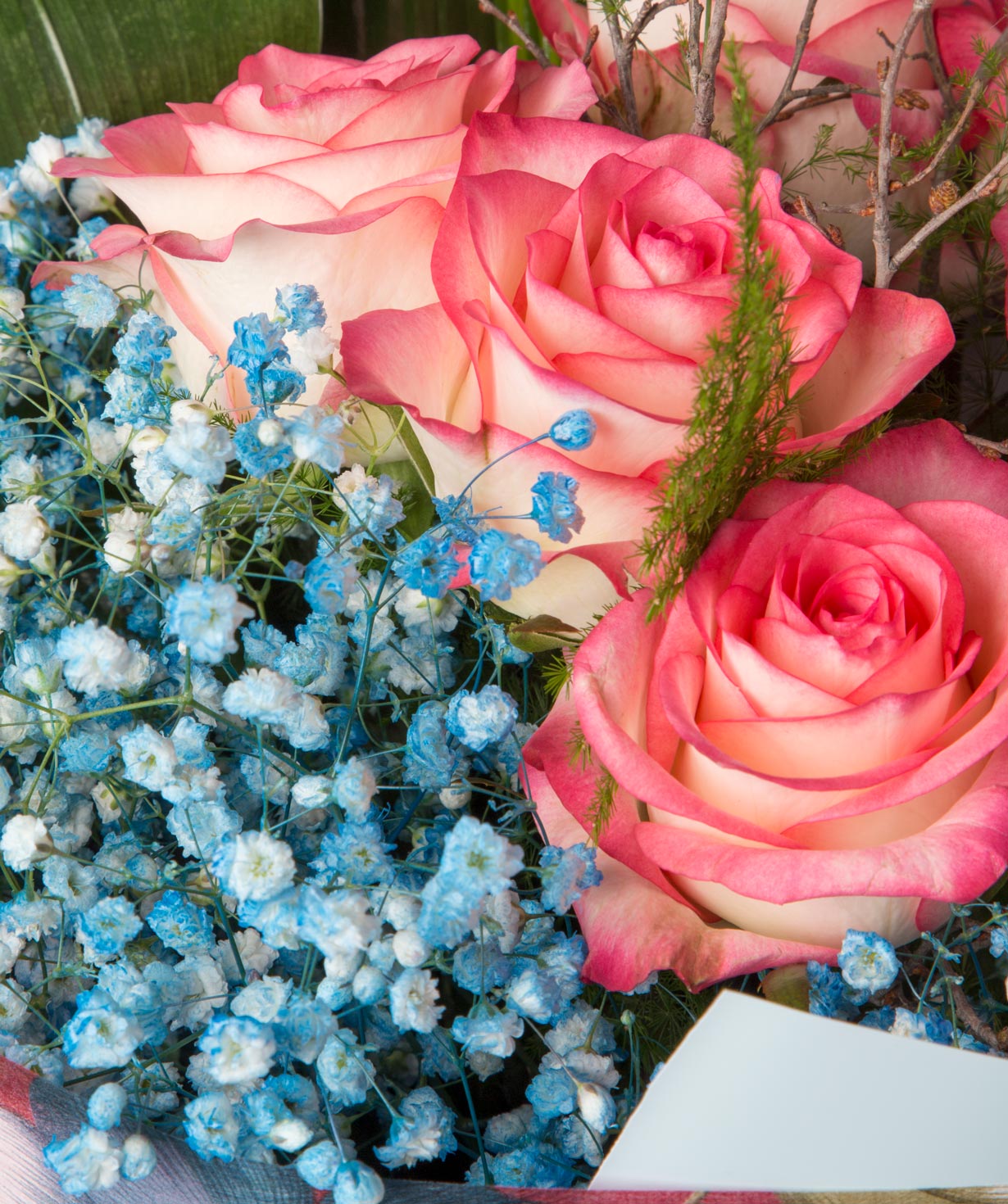 Ծաղկեփունջ «Մարիոն» վարդերով և գիպսոֆիլաներով