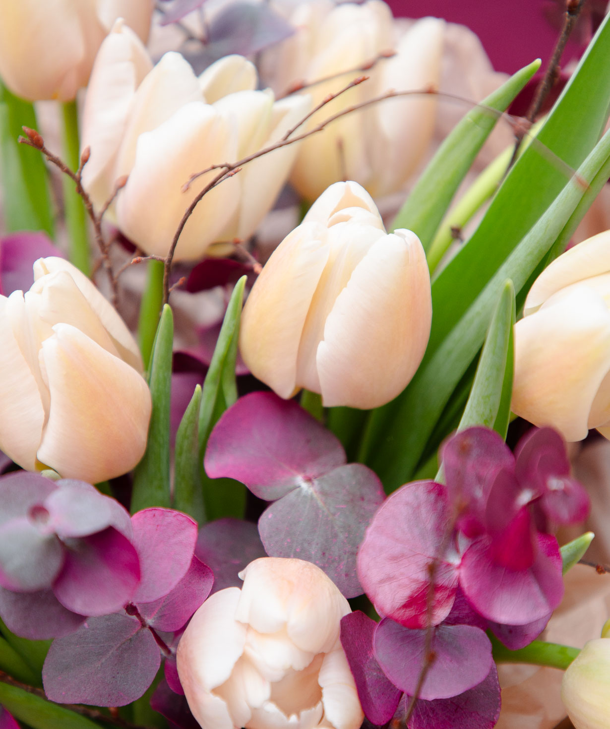 Bouquet «Arnaia» with tulips