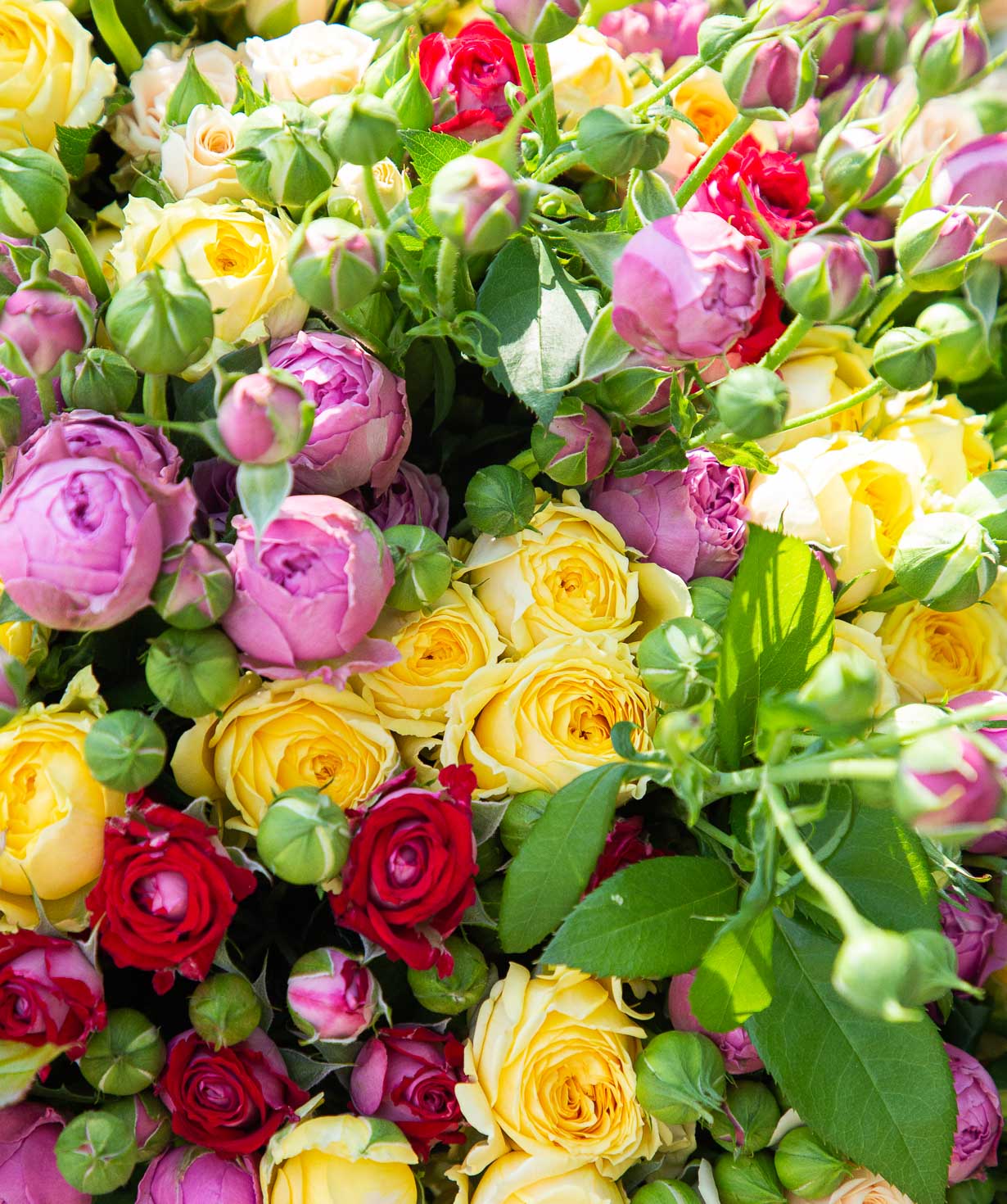 Bouquet ''Galatro'' with spray roses, 70 cm