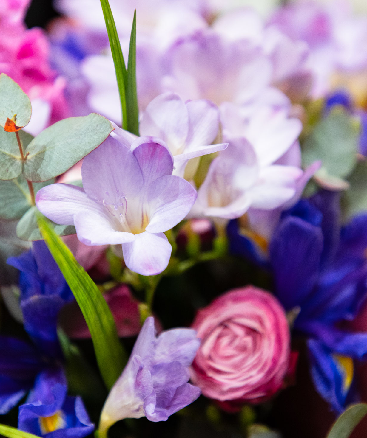 Ծաղկեփունջ «Baraci» ֆրեզիաներով