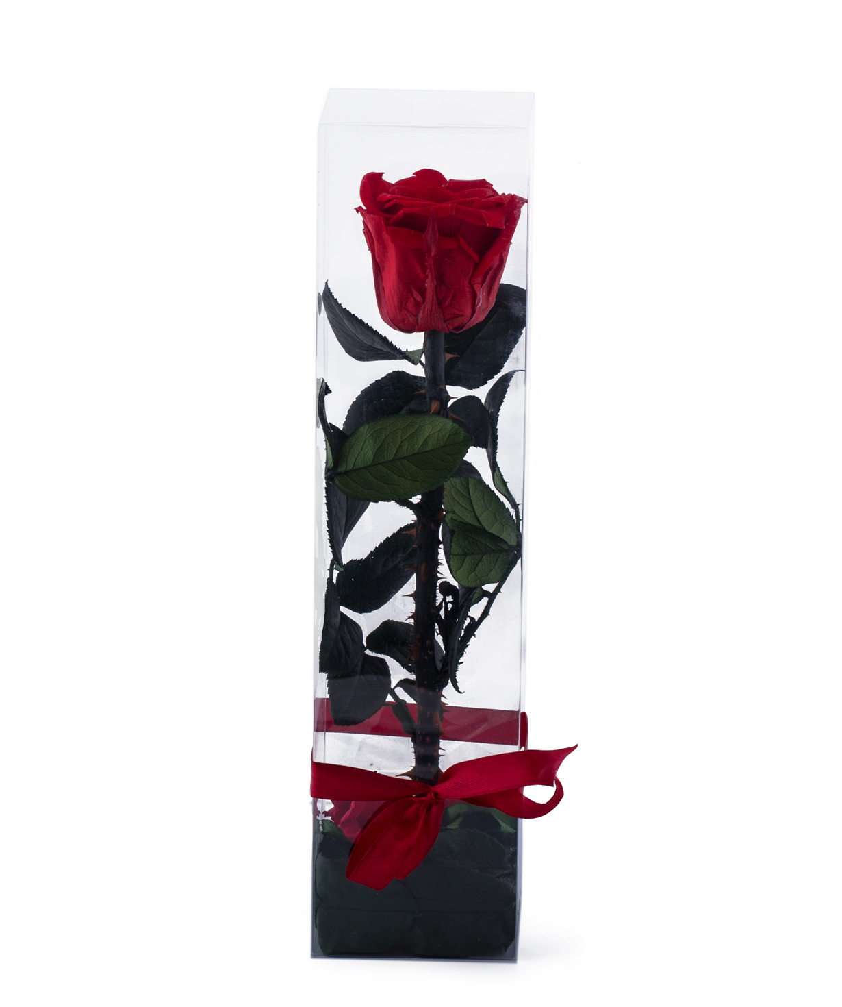 Роза `EM Flowers` вечная 27 см в коробке