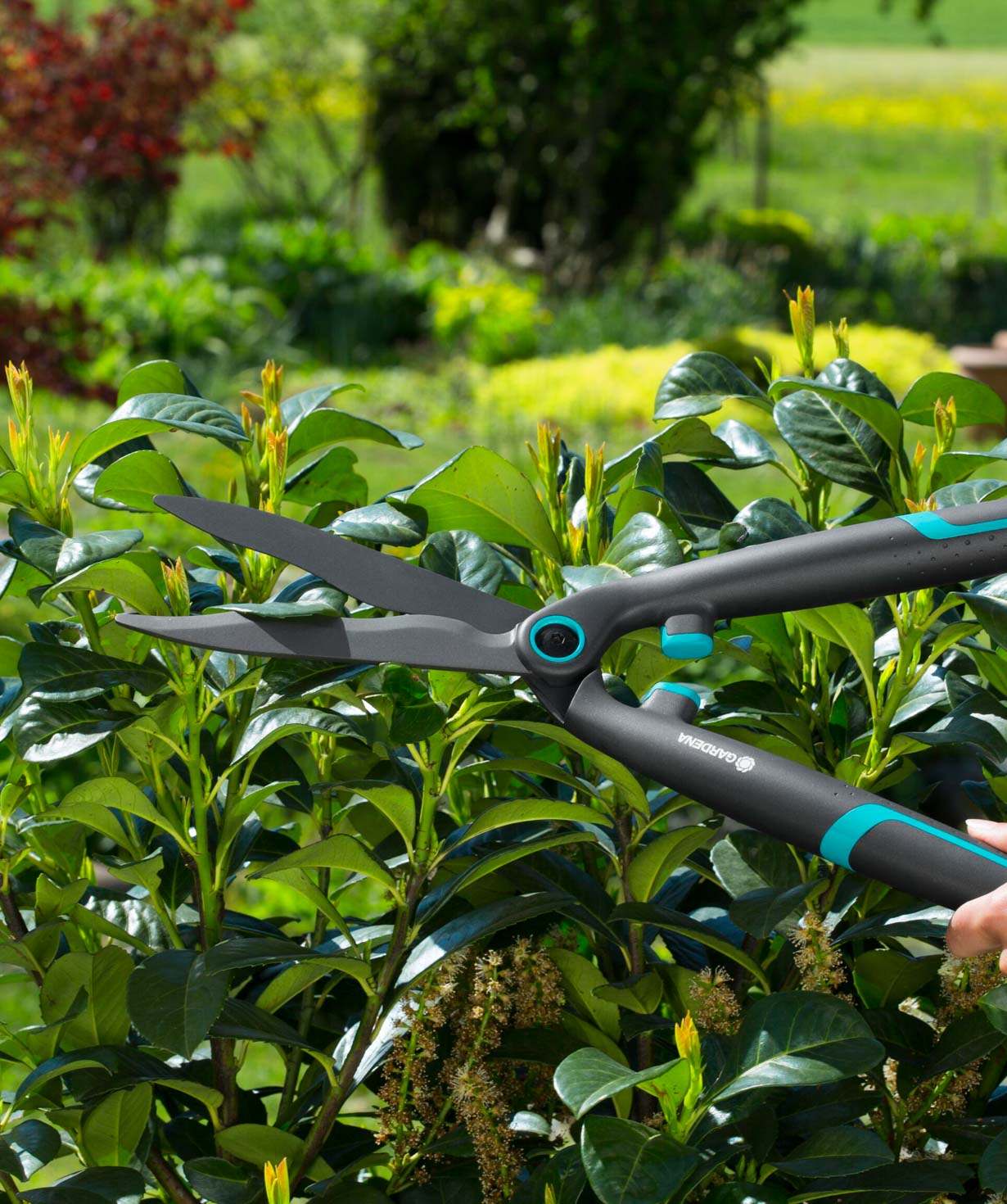 Bush trimmer «Gardena» EasyCut