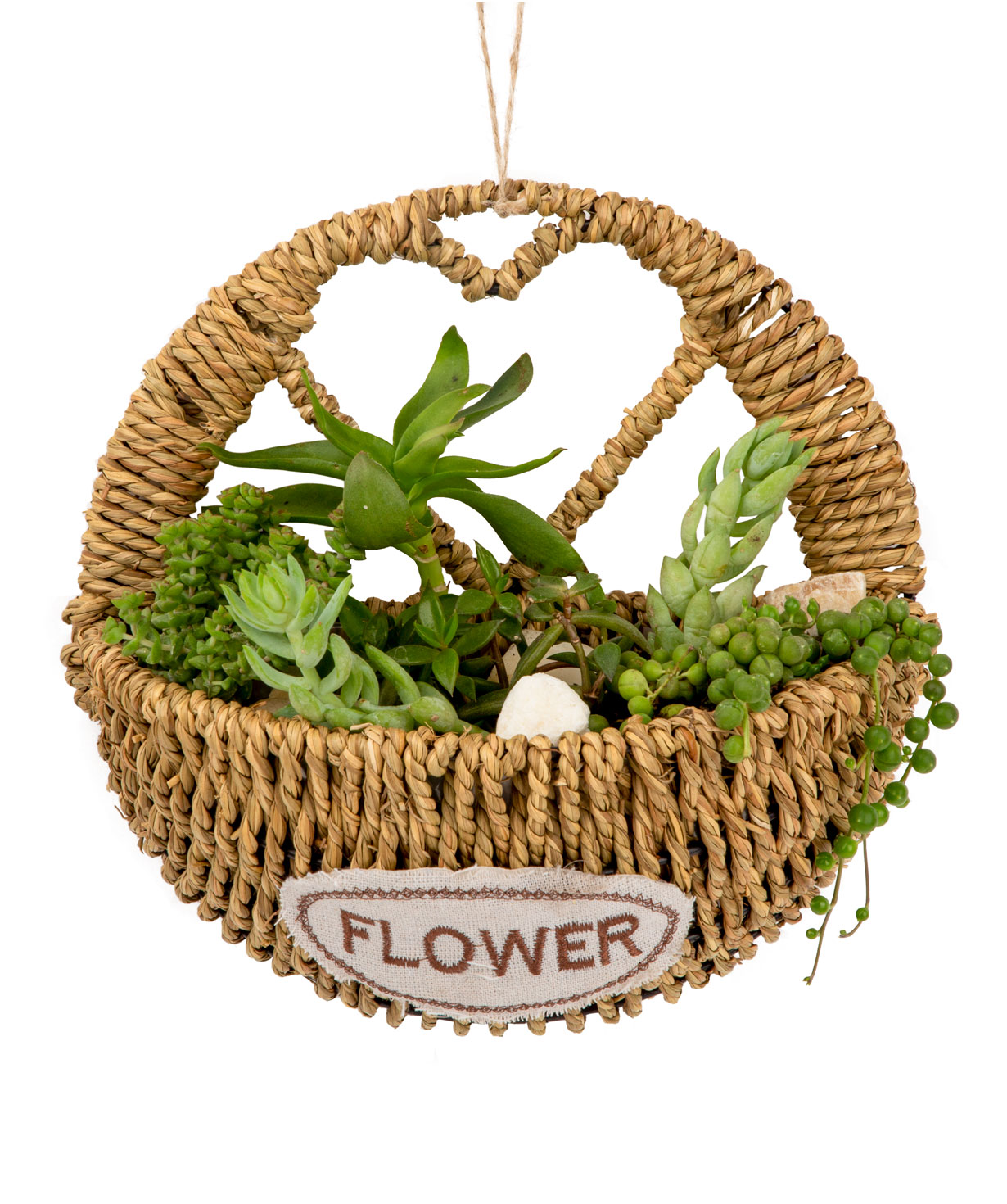 Растение `Eco Garden` Суккулент в корзине