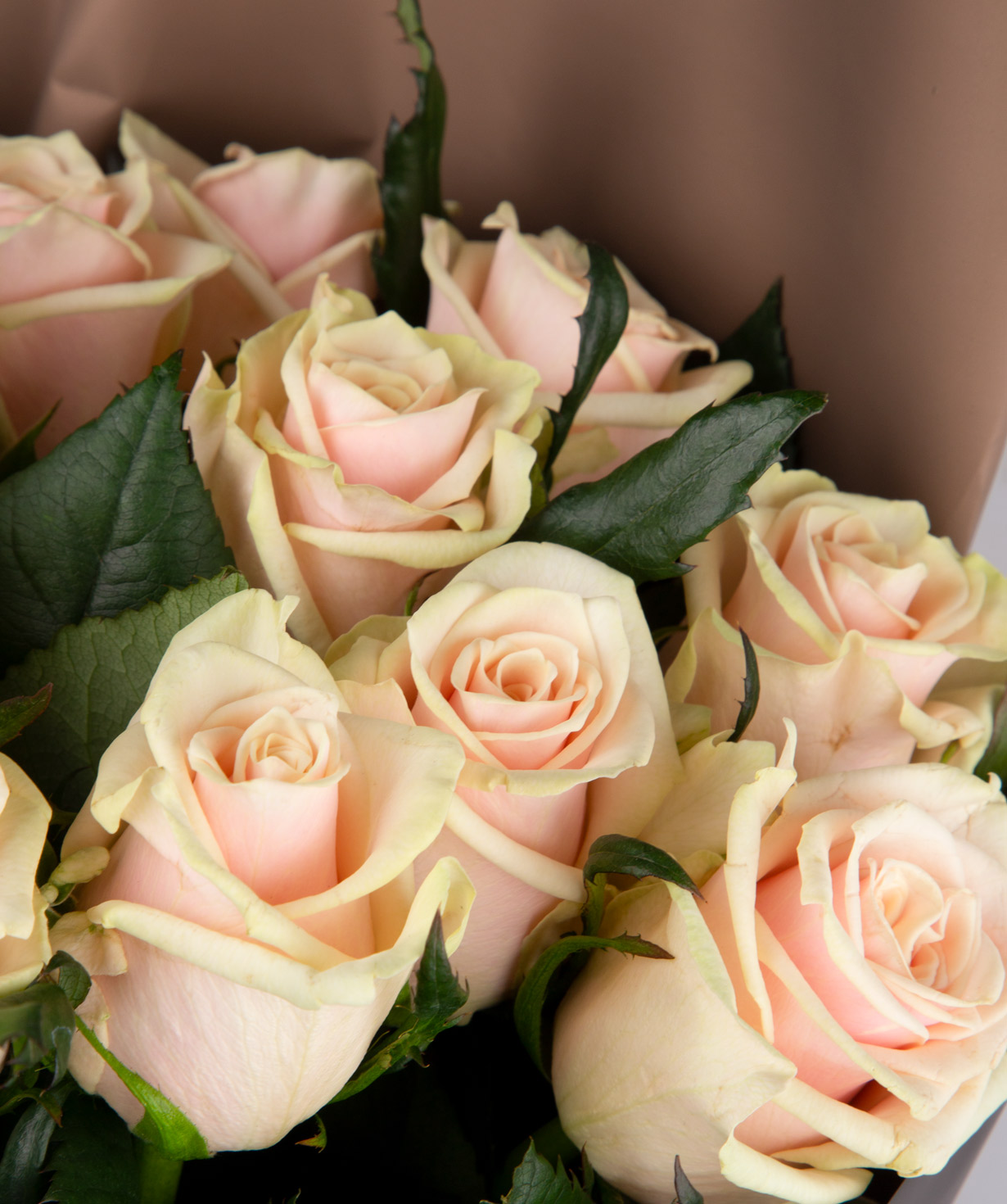 Ծաղկեփունջ «Talea» վարդերով