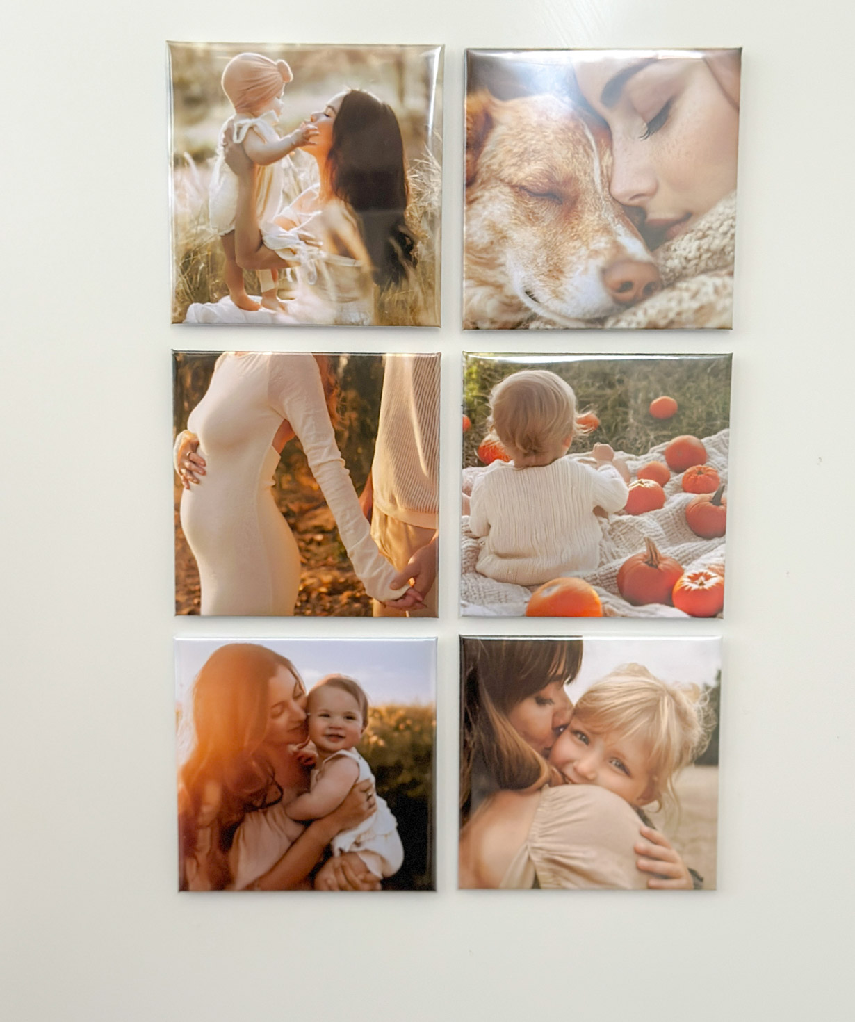 Photo magnet for the refrigerator «Magniser» standard