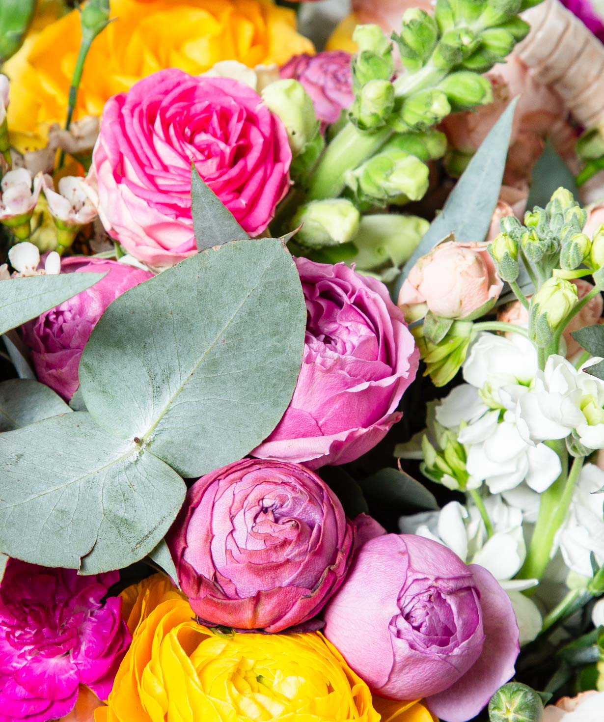 Composition ''Avenue Des Fleurs'' with roses