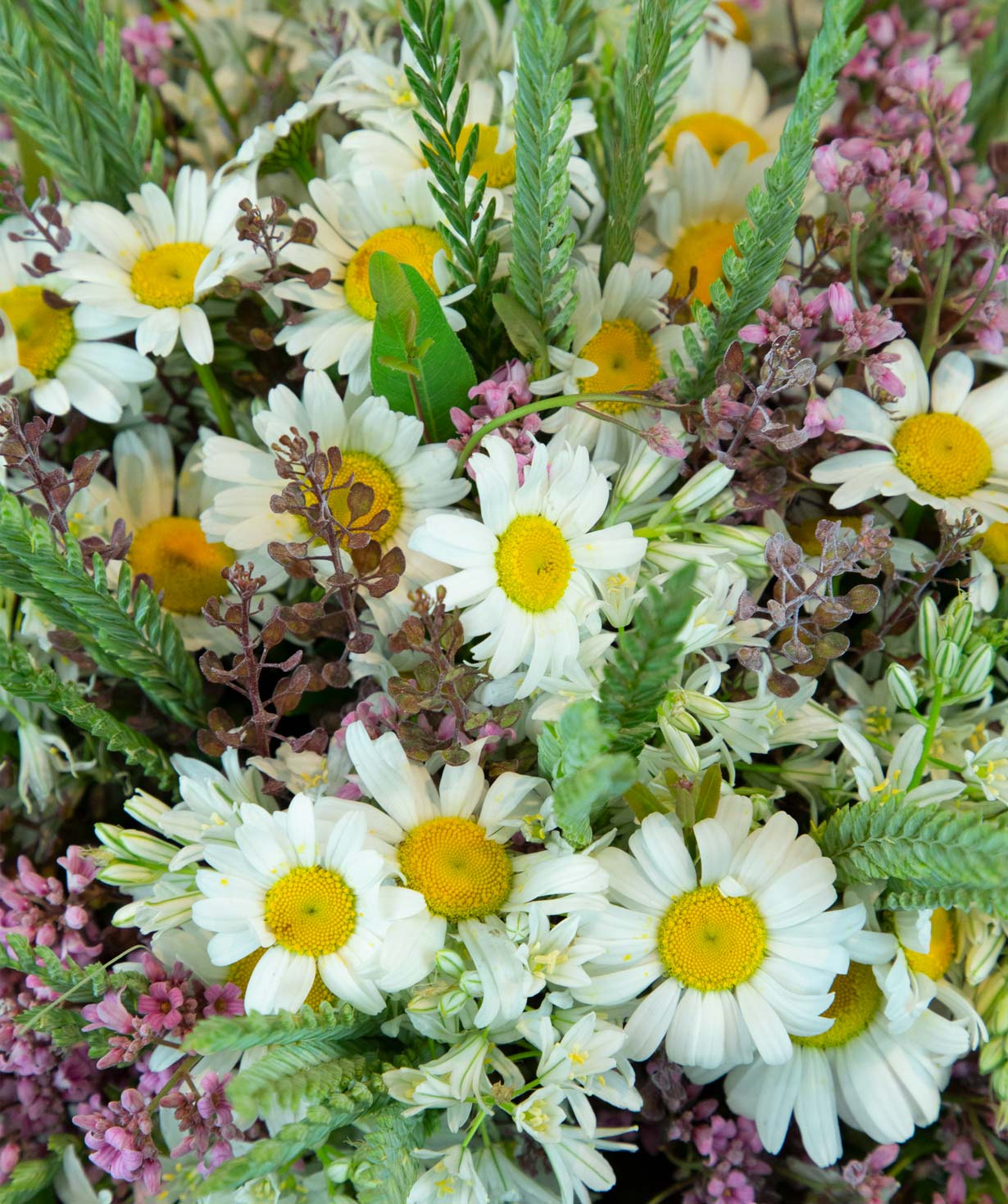 Bouquet ''Resita'' with chamomile and field flowers