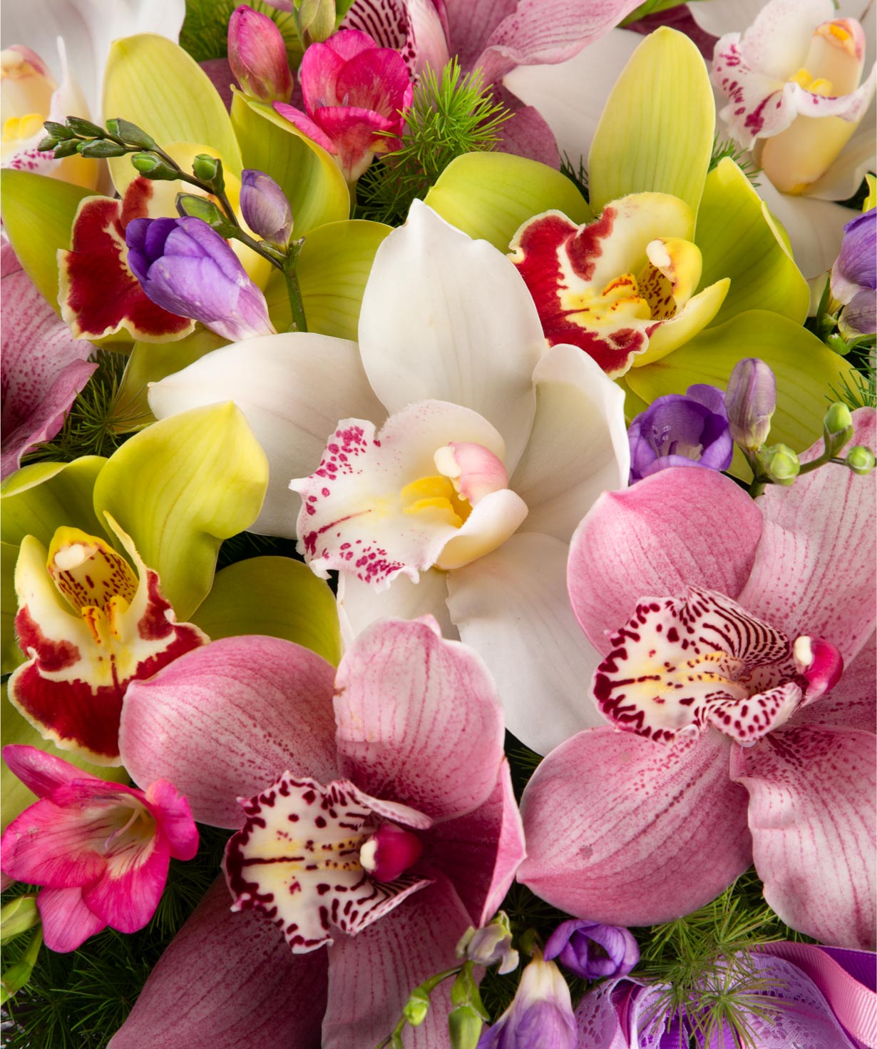 Composition `Miniara` with orchids