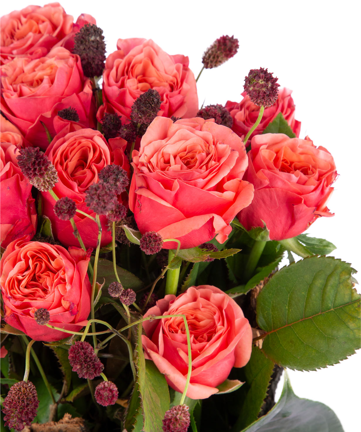 Կոմպոզիցիա «Լանուս» վարդերով և դաշտային ծաղիկներով