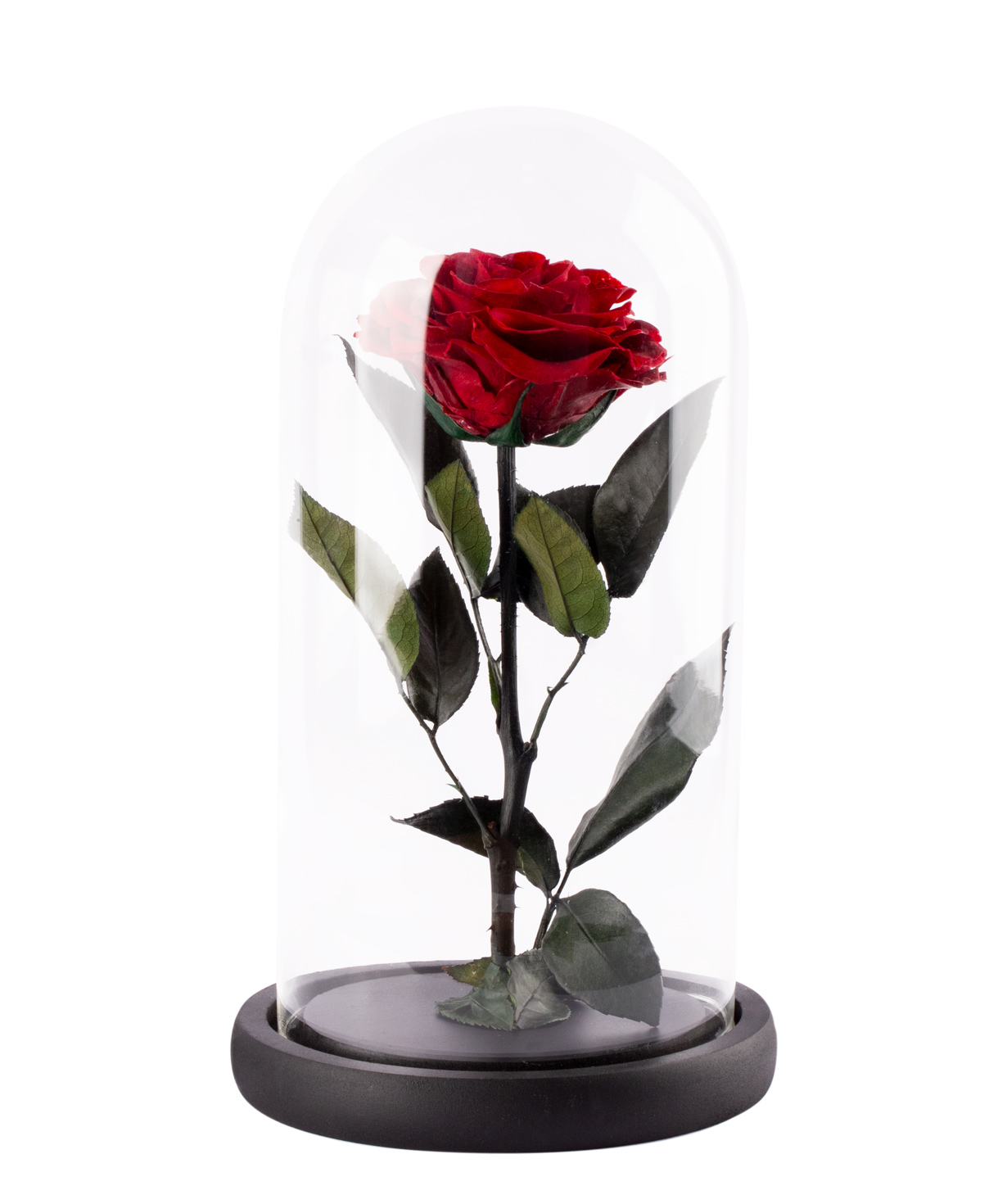 Роза `EM Flowers` вечная 27 см