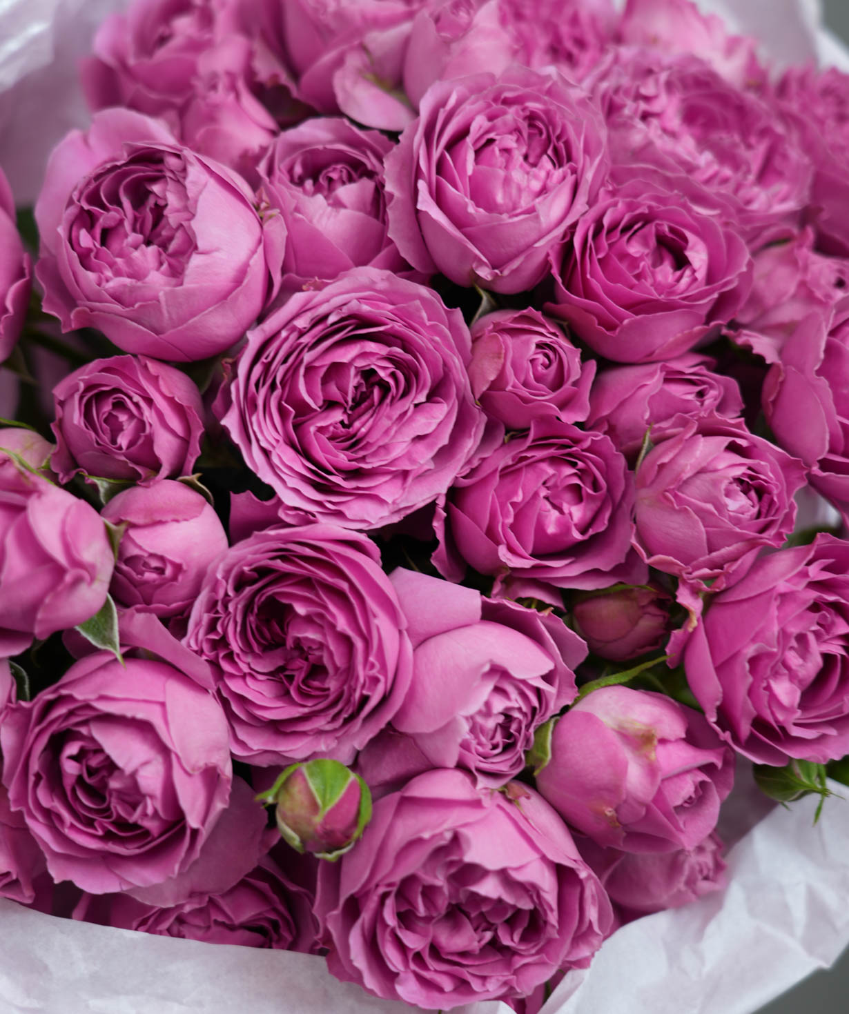 Букет `Maru` С пионовидными розами