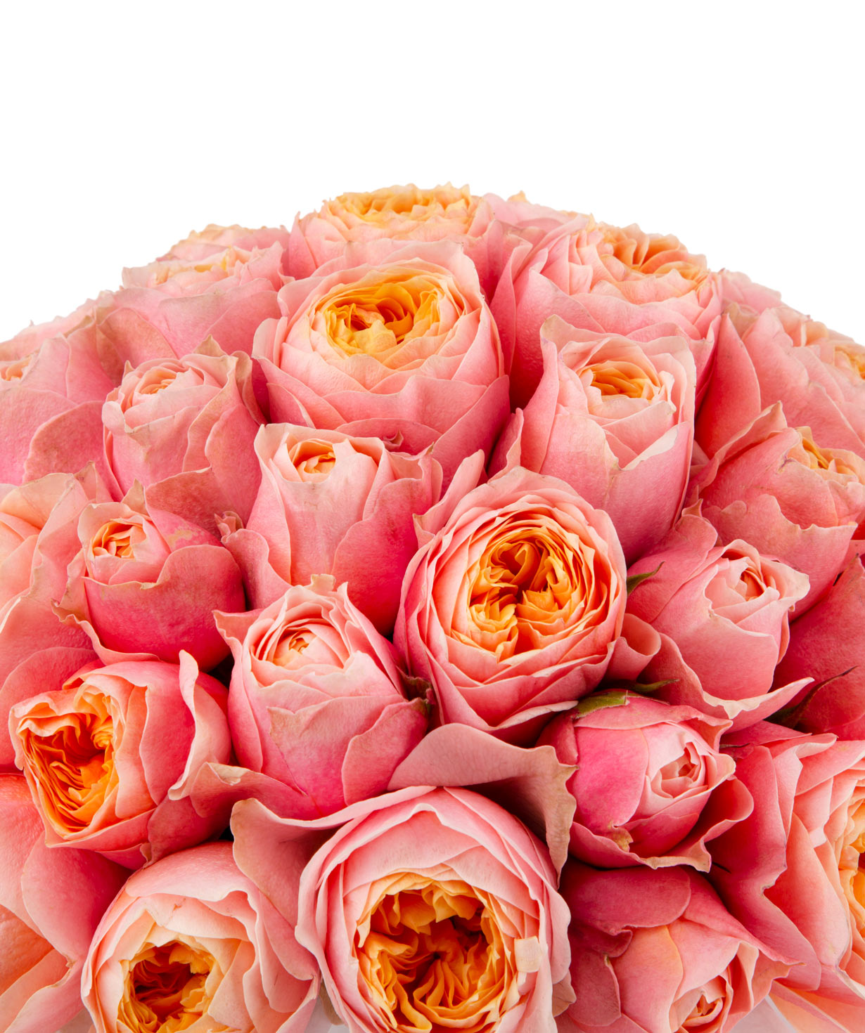 Композиция `Celeano` с пионовидными розами